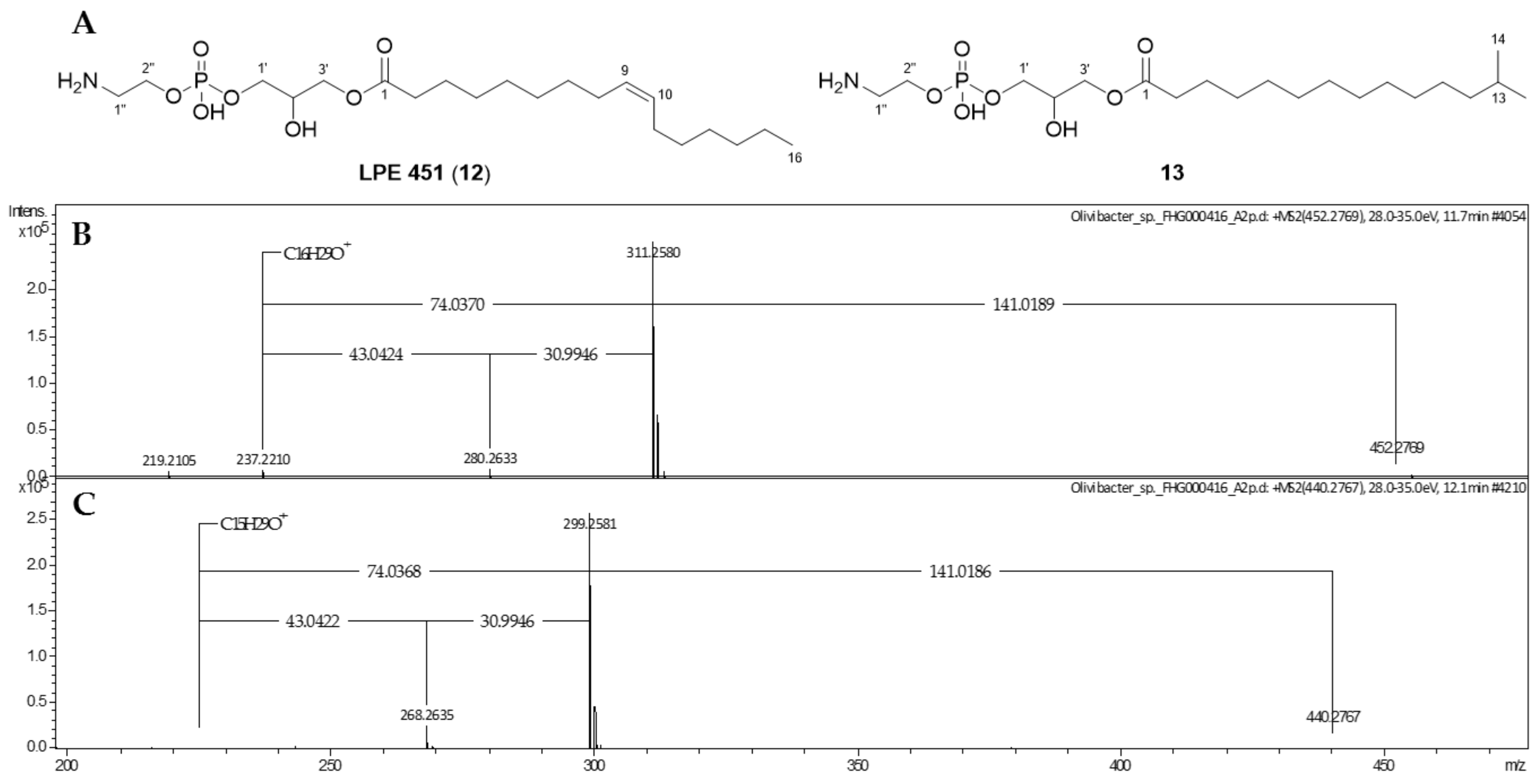 Molecules 26 05195 g005 Molecules 26 05195 g005