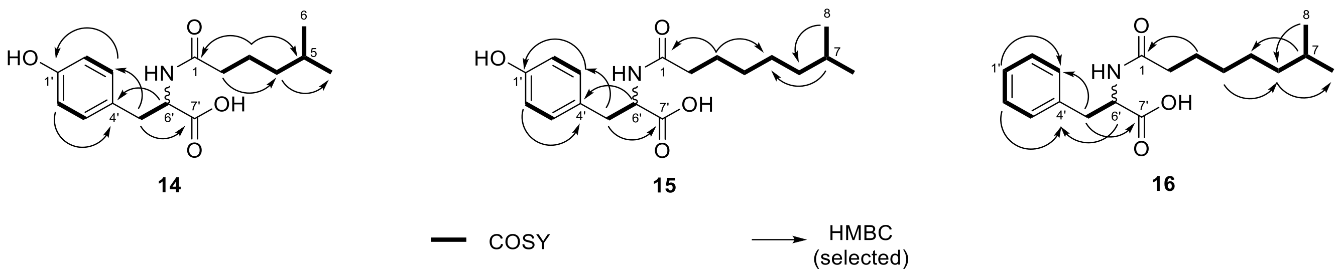 Molecules 26 05195 g006 Molecules 26 05195 g006