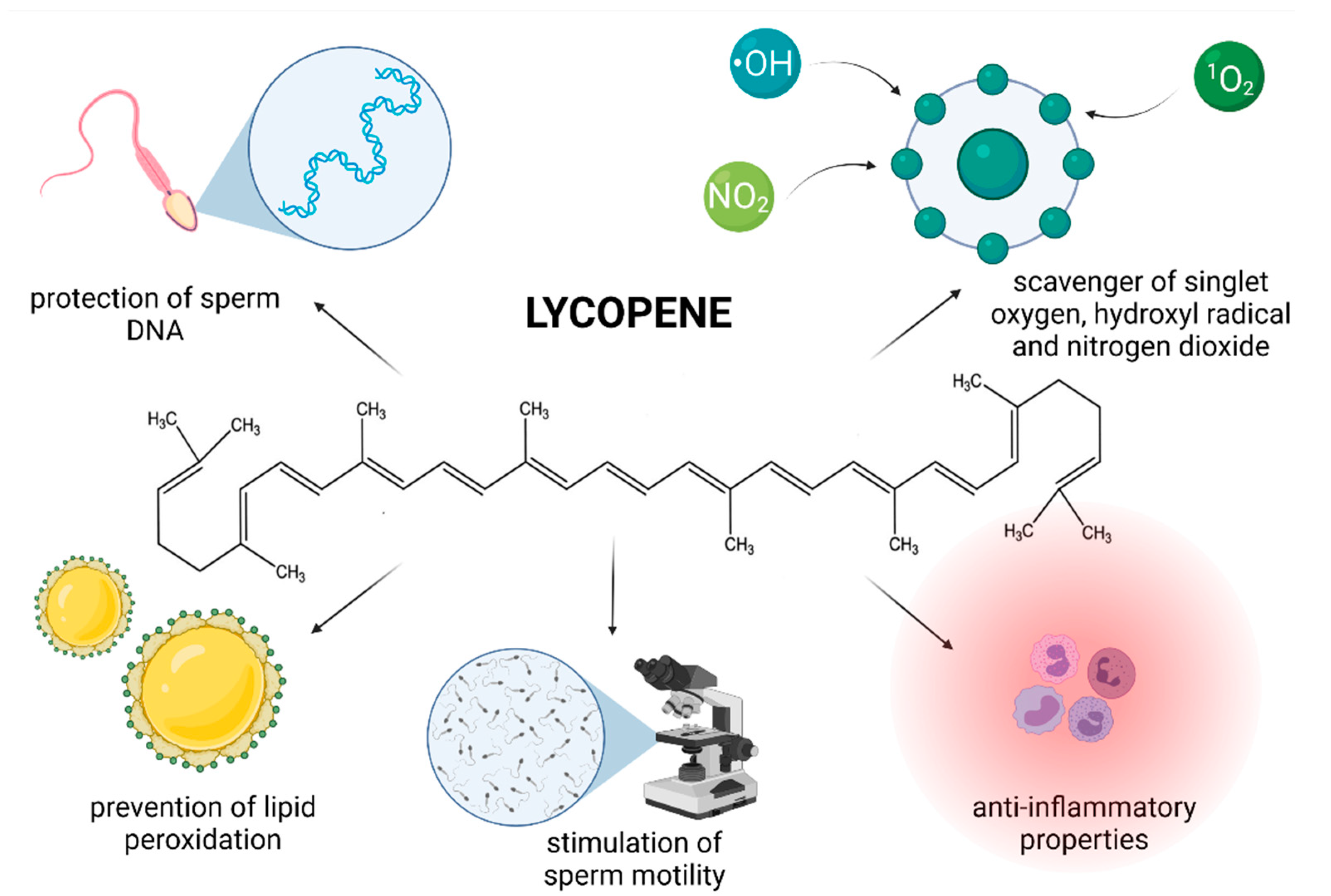 Molecules 26 05196 g003