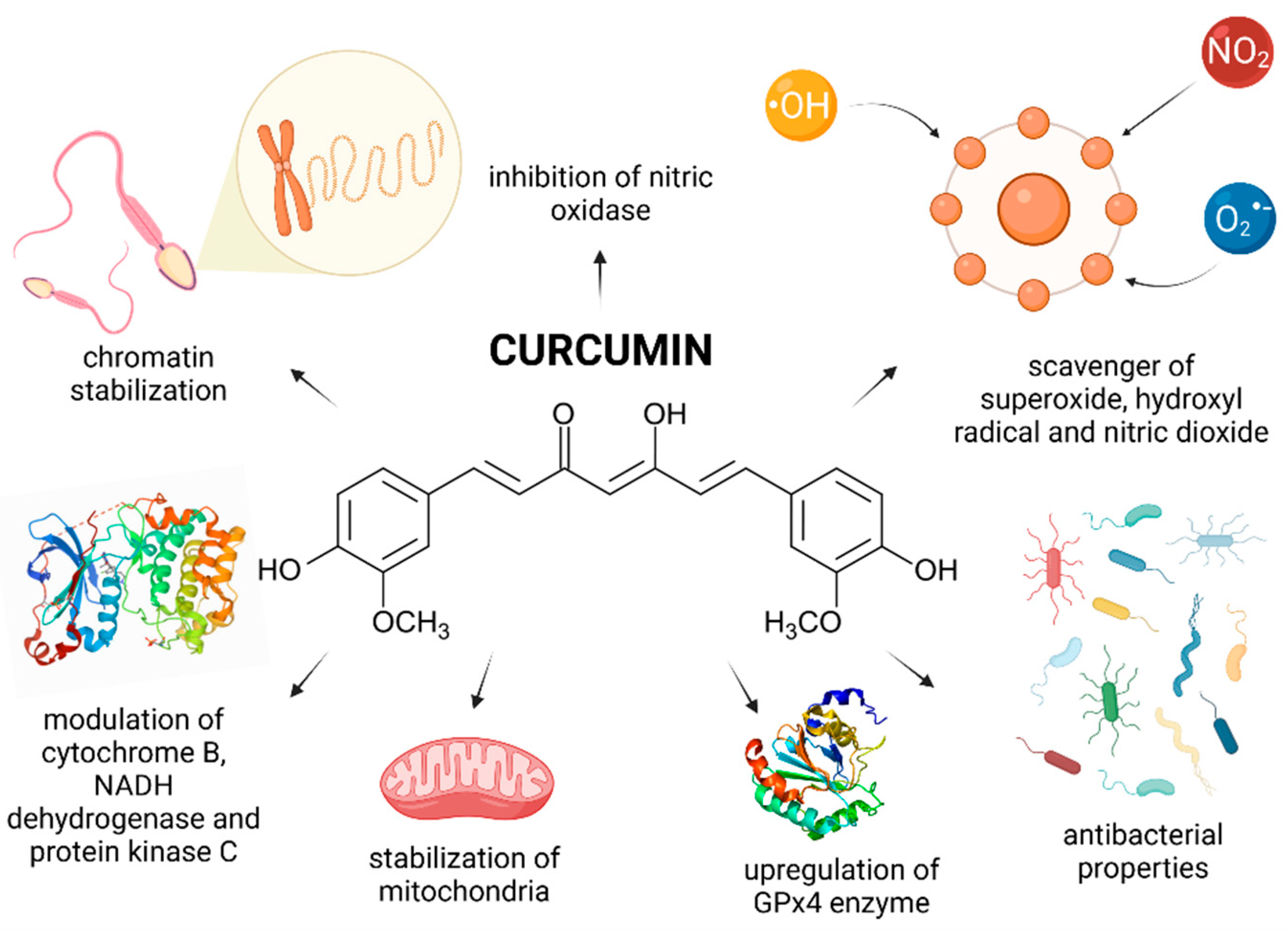 Molecules 26 05196 g005