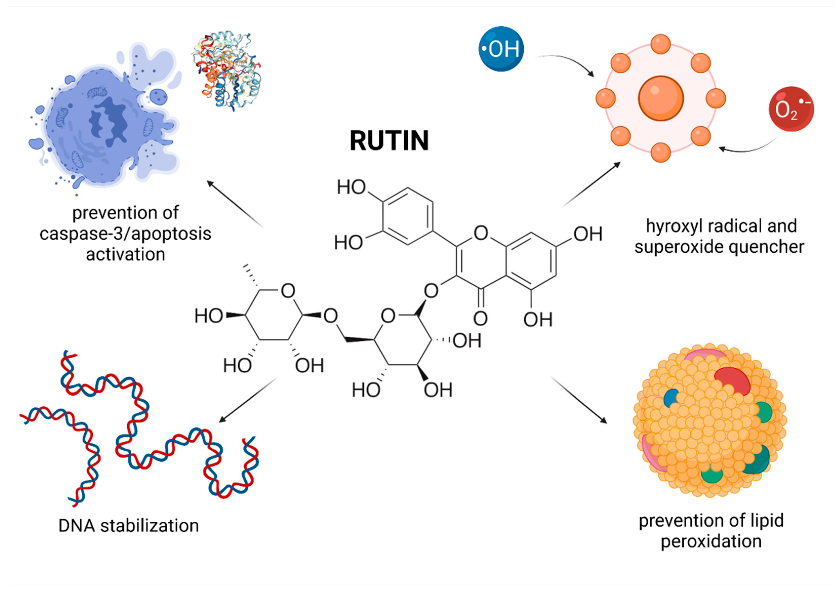 Molecules 26 05196 g006