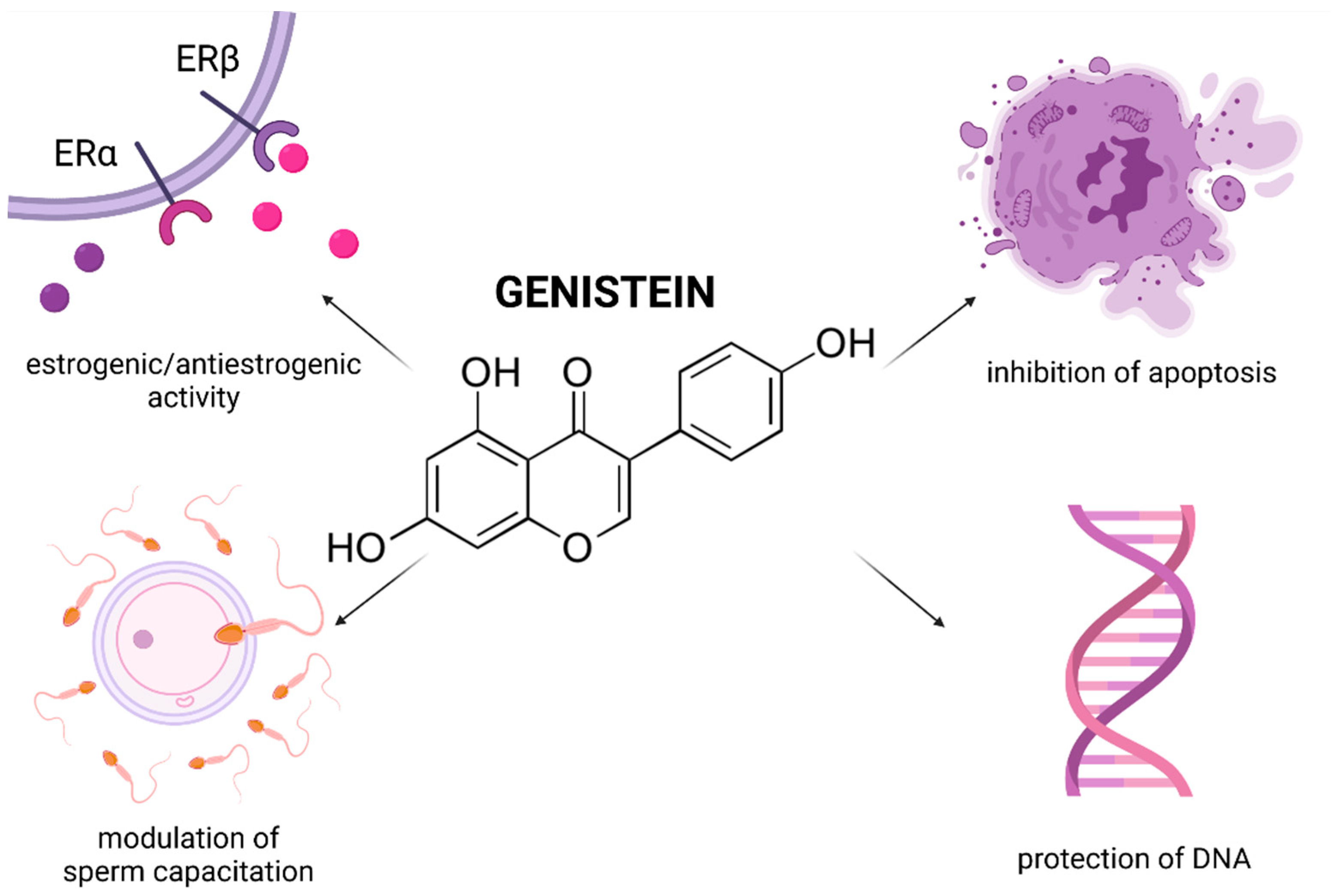 Molecules 26 05196 g007