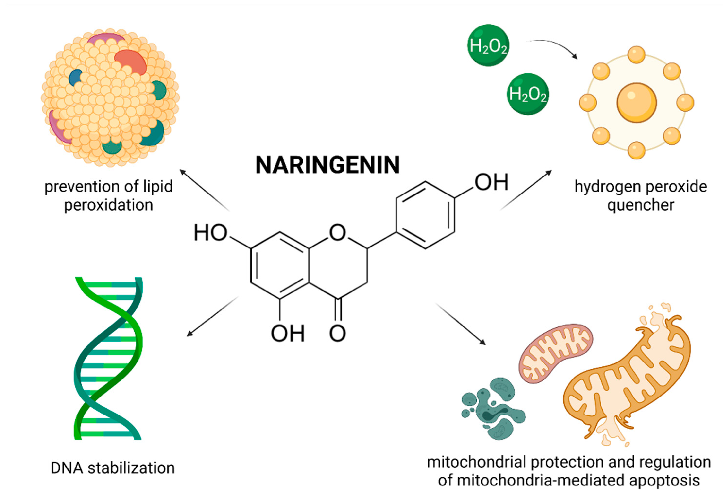 Molecules 26 05196 g009