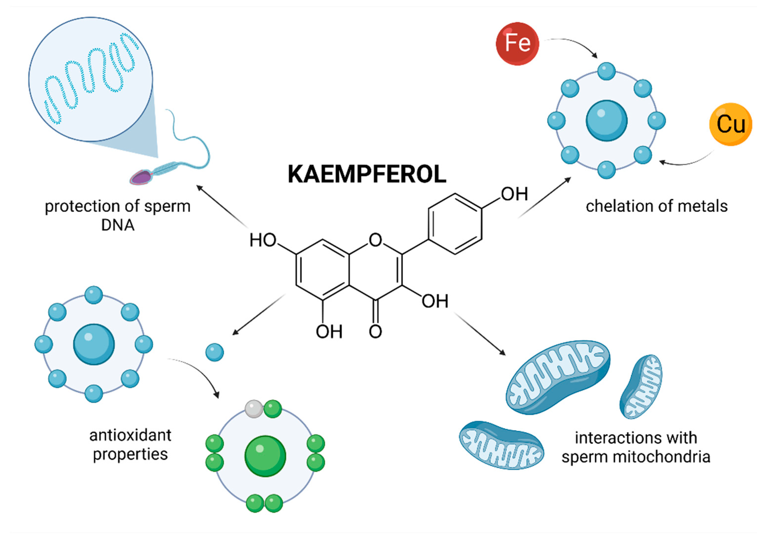 Molecules 26 05196 g010