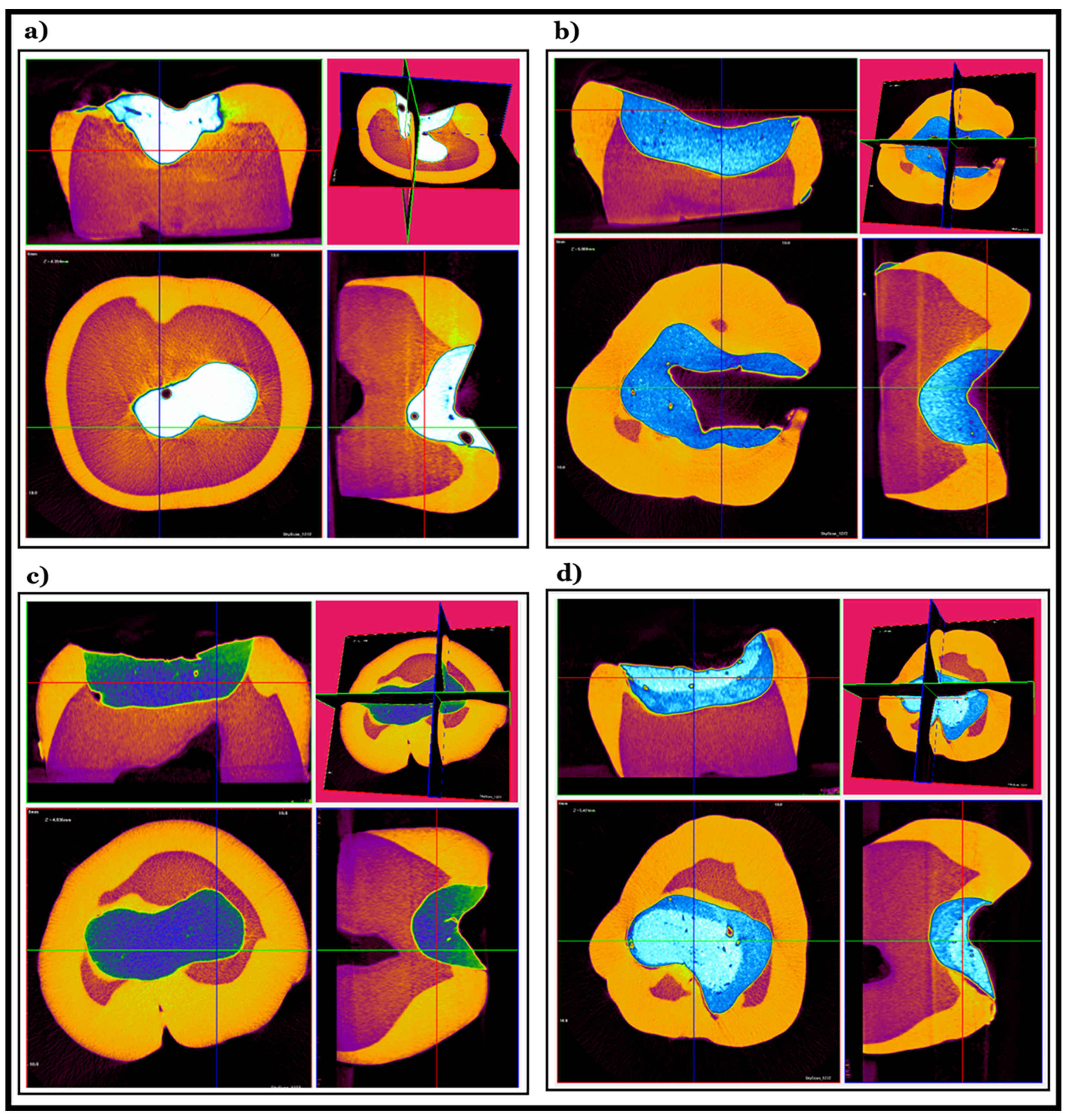 Molecules 26 05202 g004
