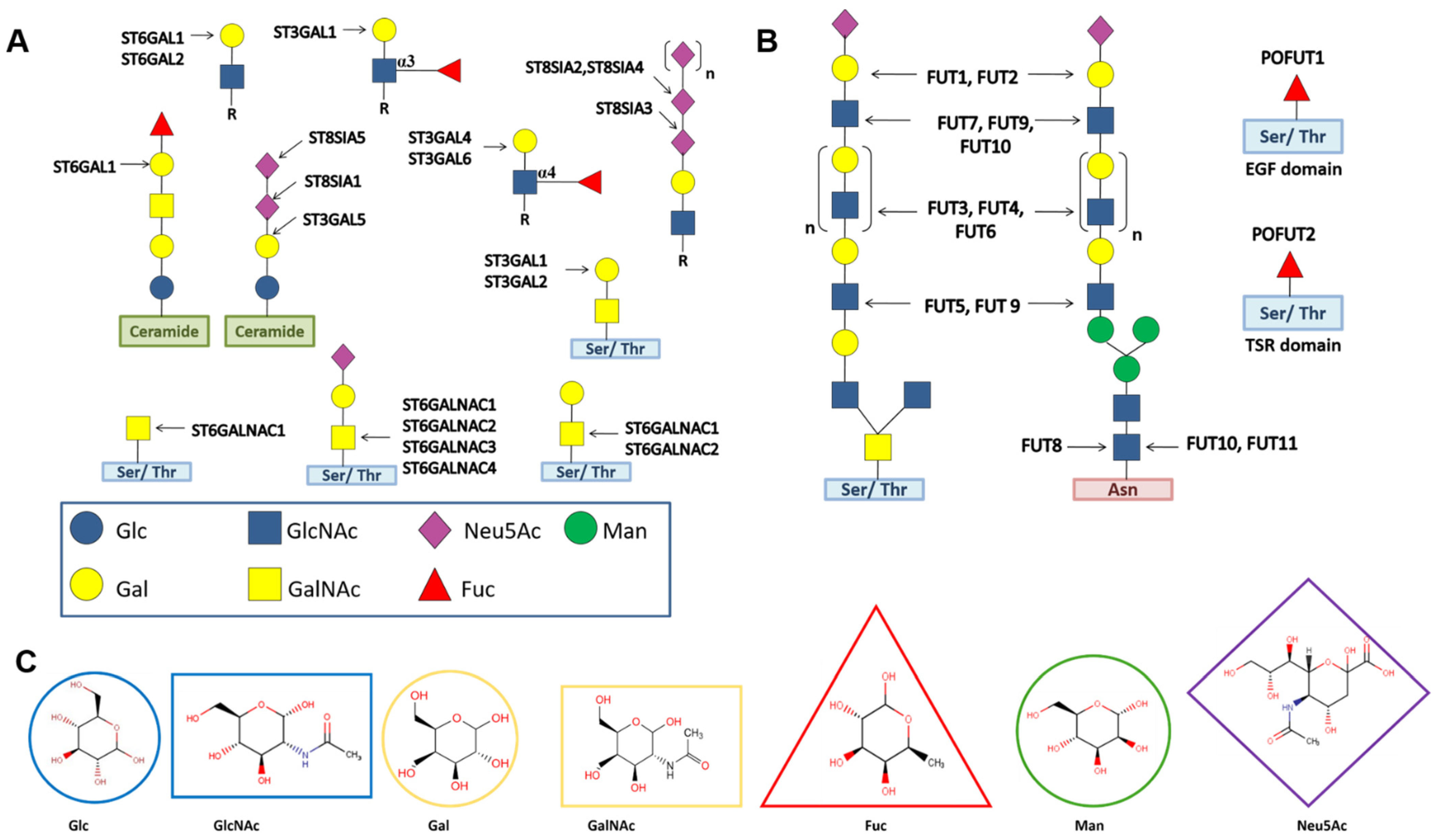 Molecules 26 05203 g001 Molecules 26 05203 g001
