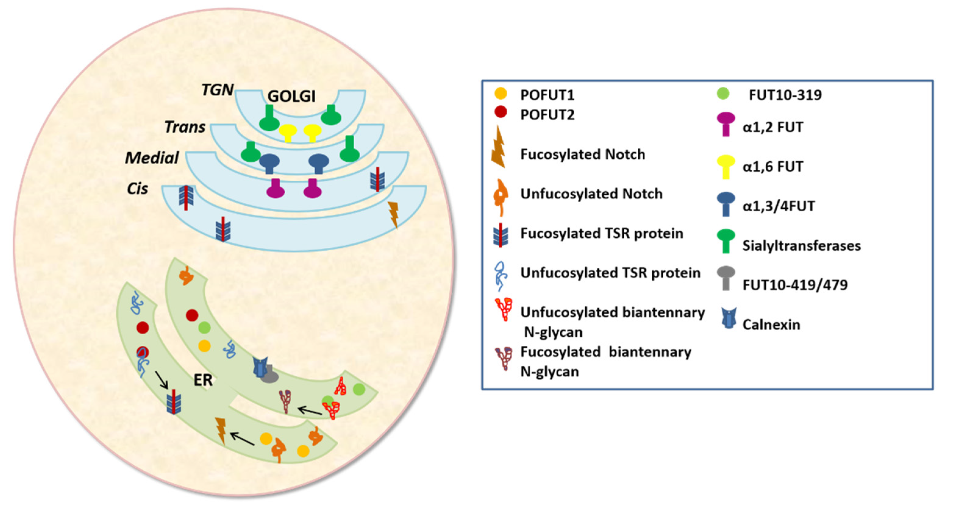 Molecules 26 05203 g002 Molecules 26 05203 g002
