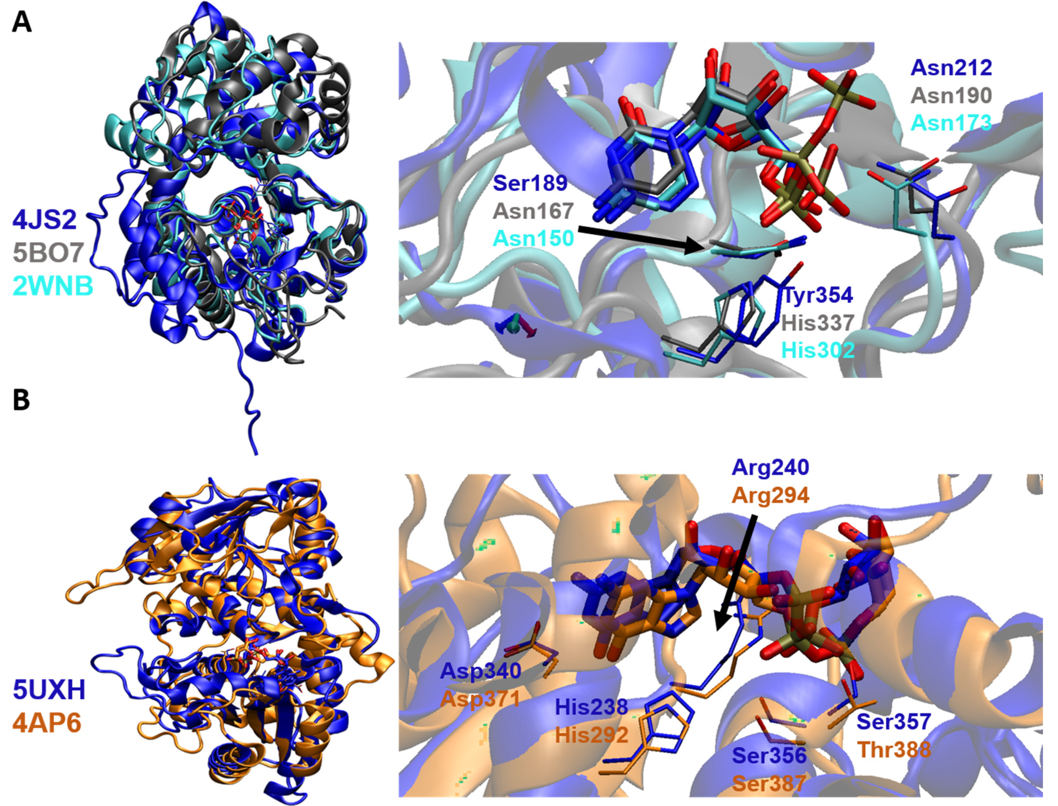 Molecules 26 05203 g006 Molecules 26 05203 g006