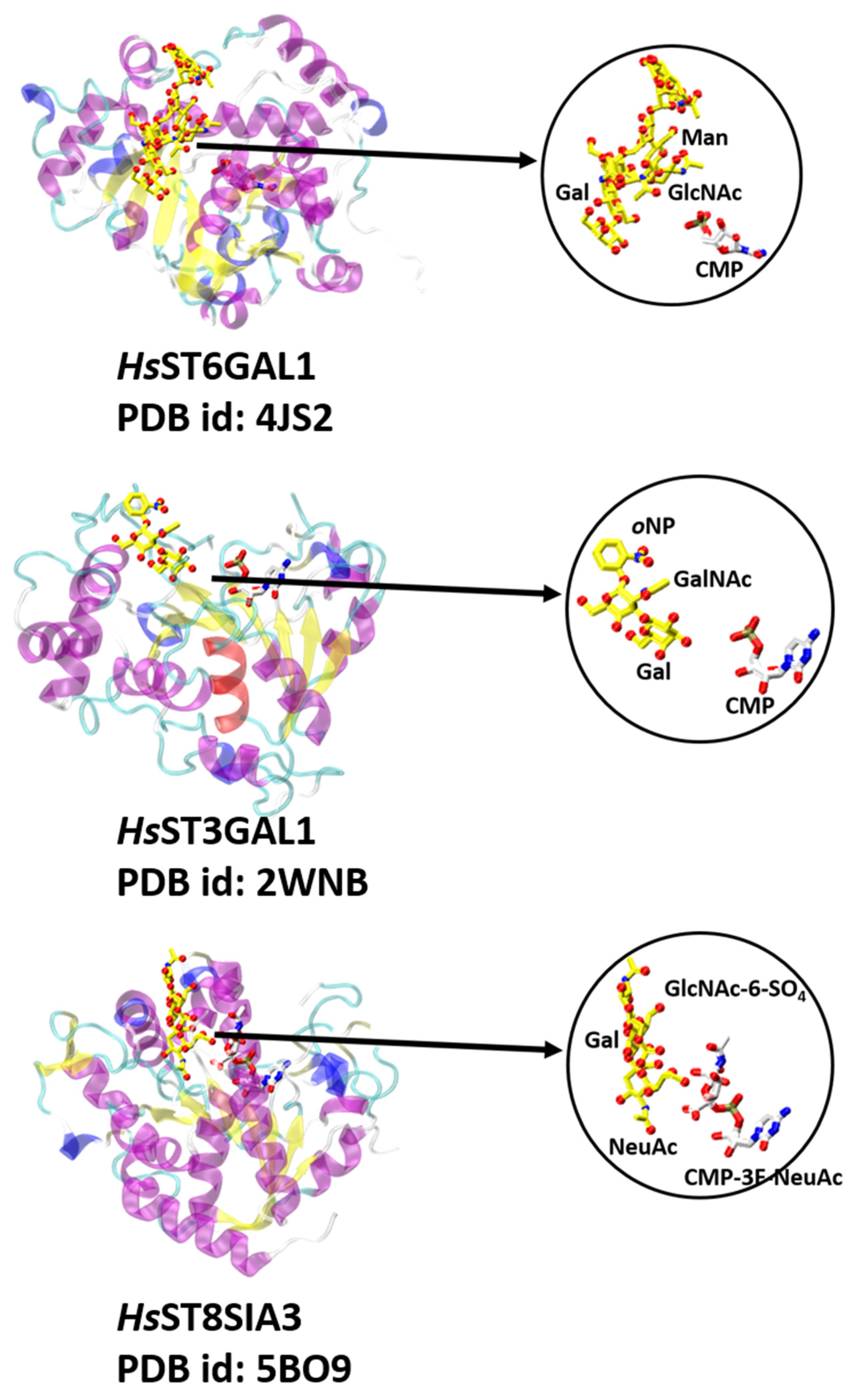 Molecules 26 05203 g008 Molecules 26 05203 g008