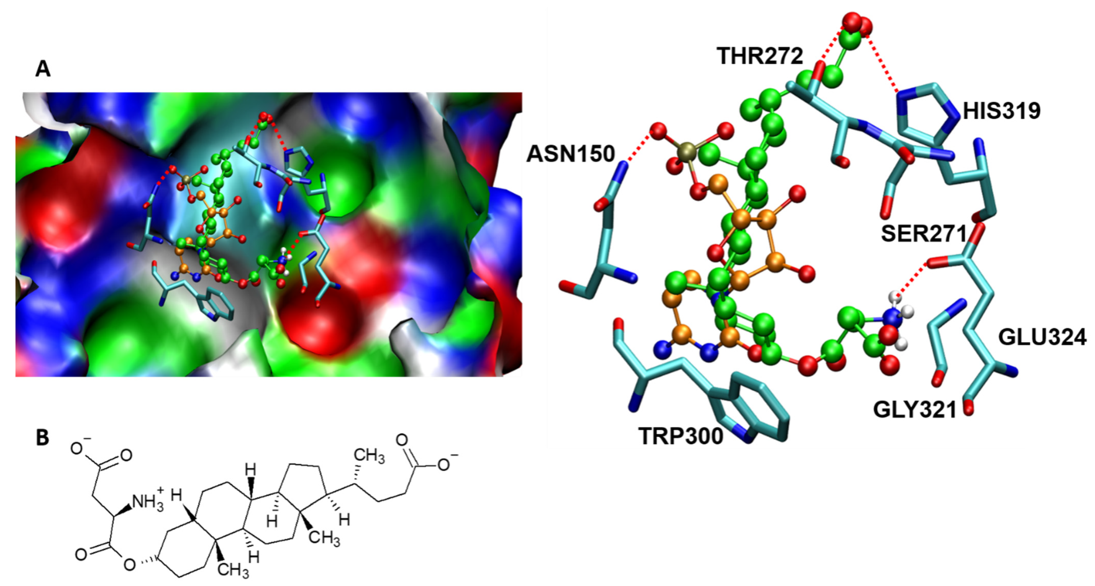 Molecules 26 05203 g011 Molecules 26 05203 g011