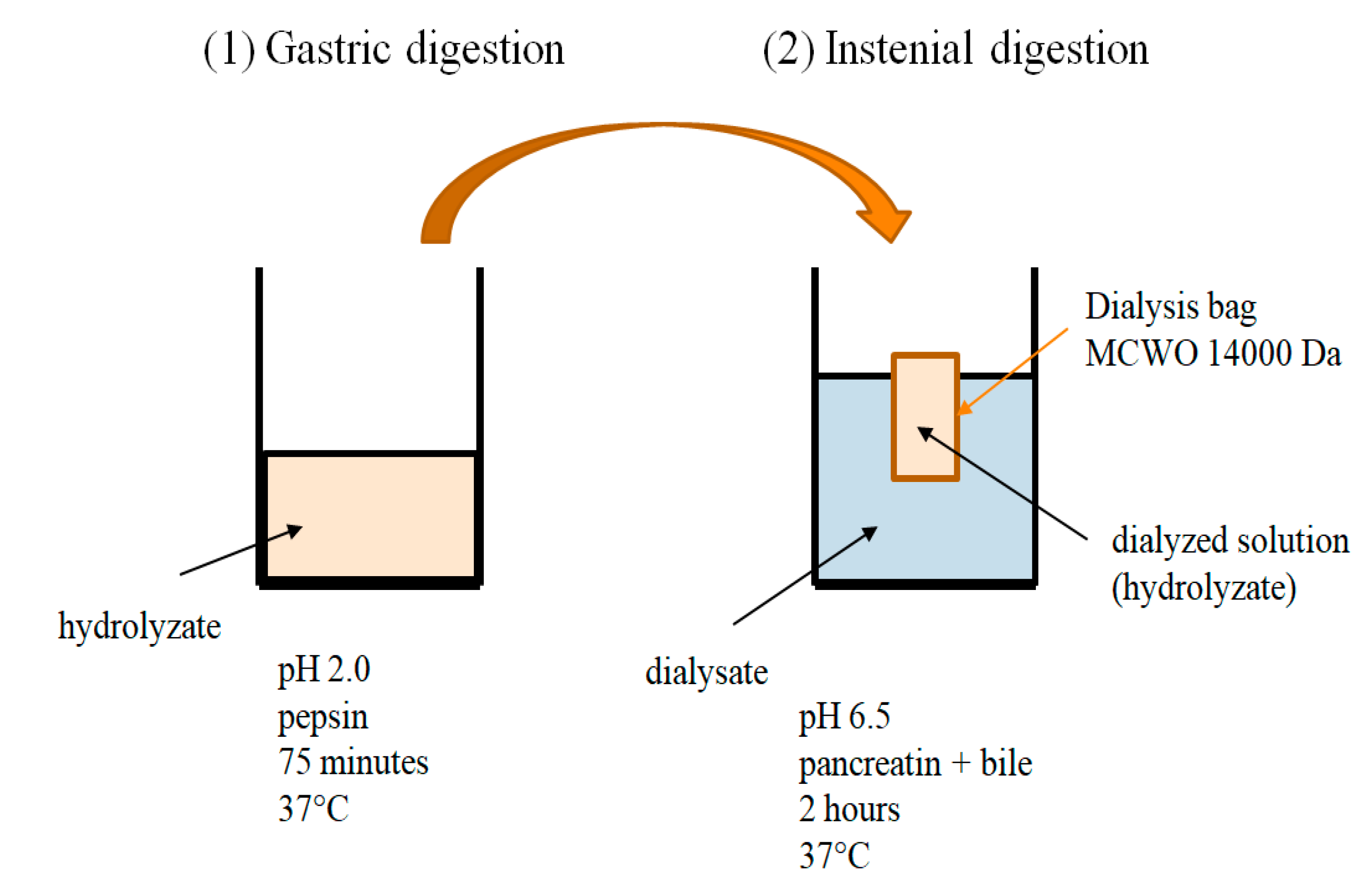 Molecules 26 05204 g002