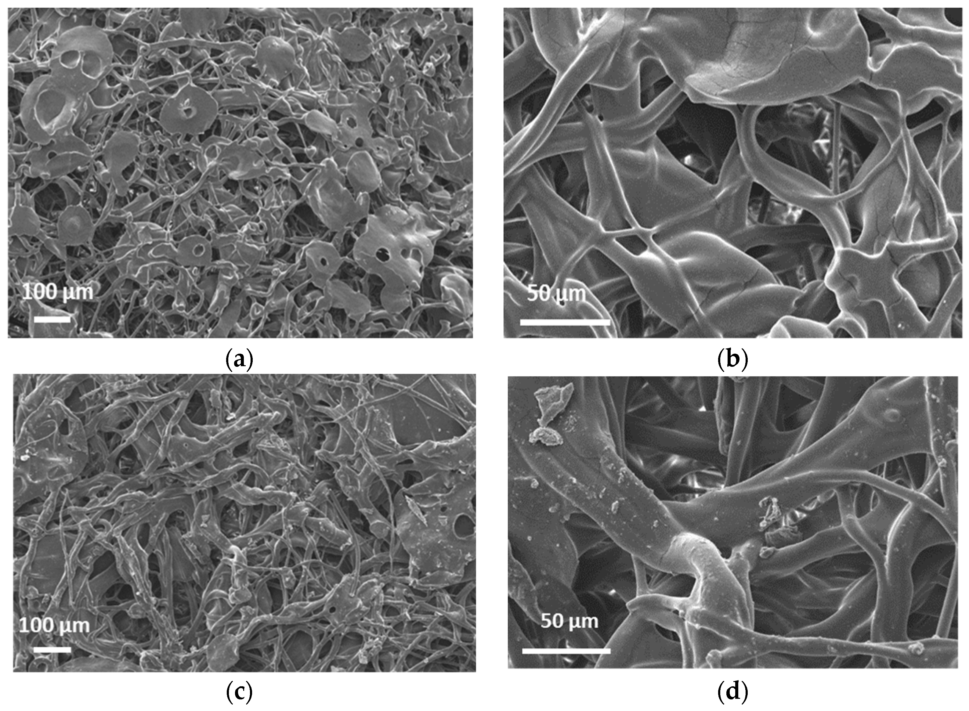 Molecules 26 05207 g002 550