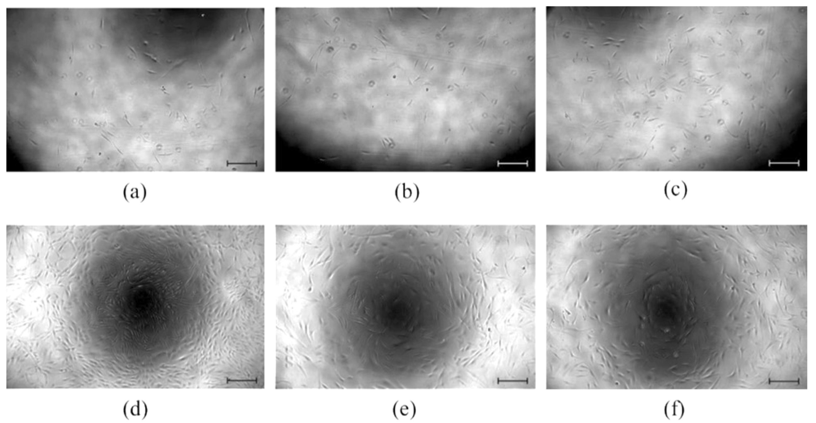 Molecules 26 05207 g005 550