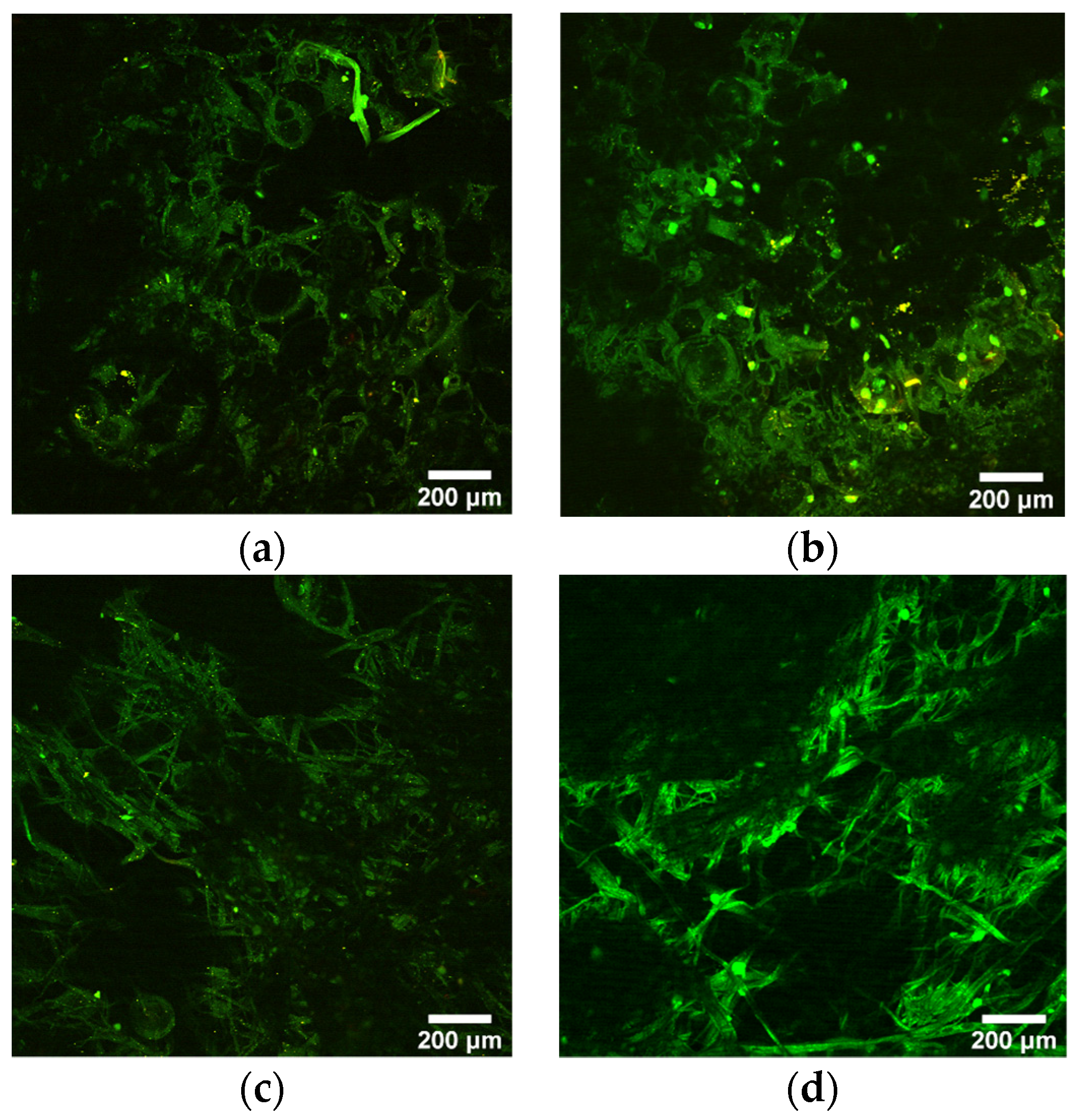 Molecules 26 05207 g006 550