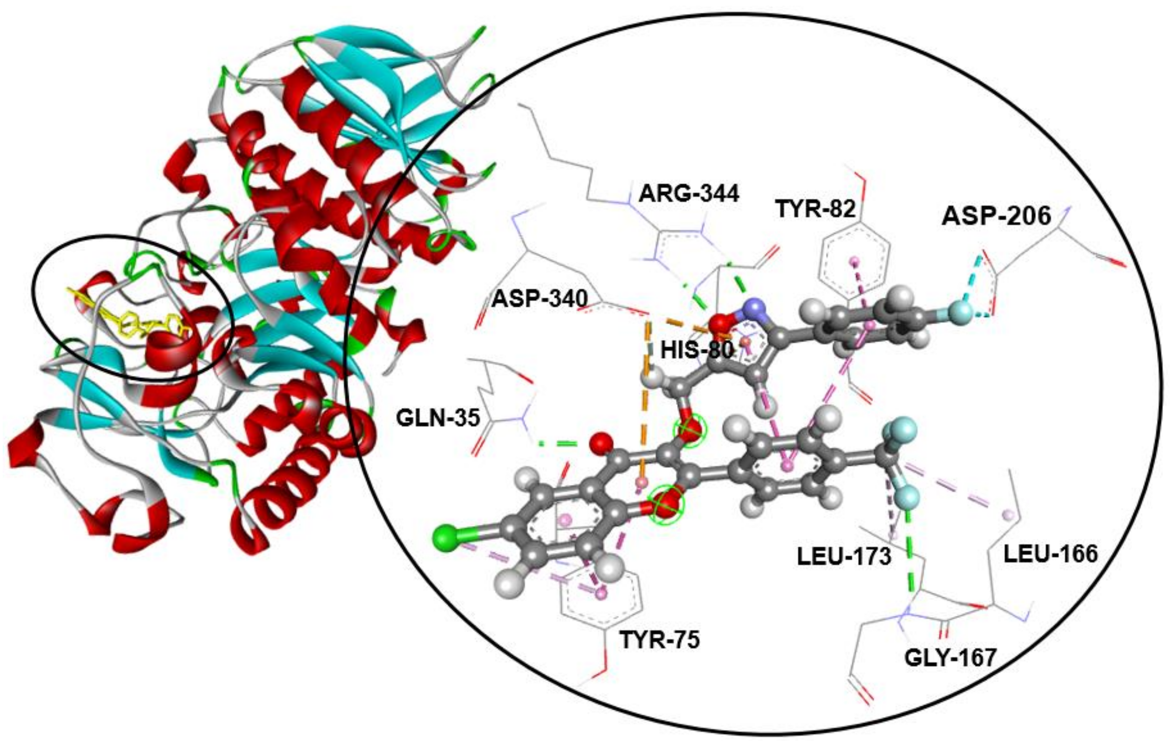 Molecules 26 05214 g001 550