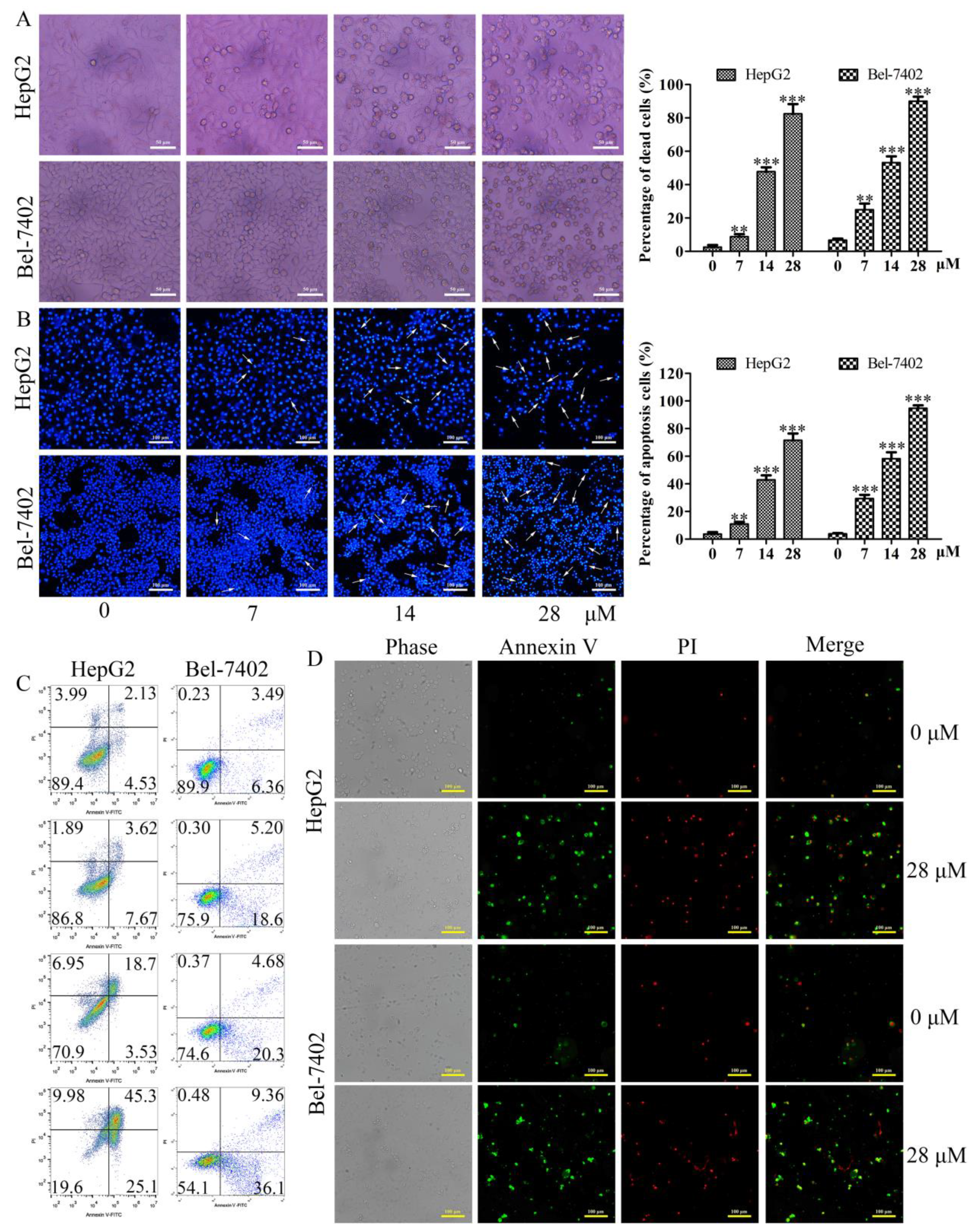 Molecules 26 05219 g003