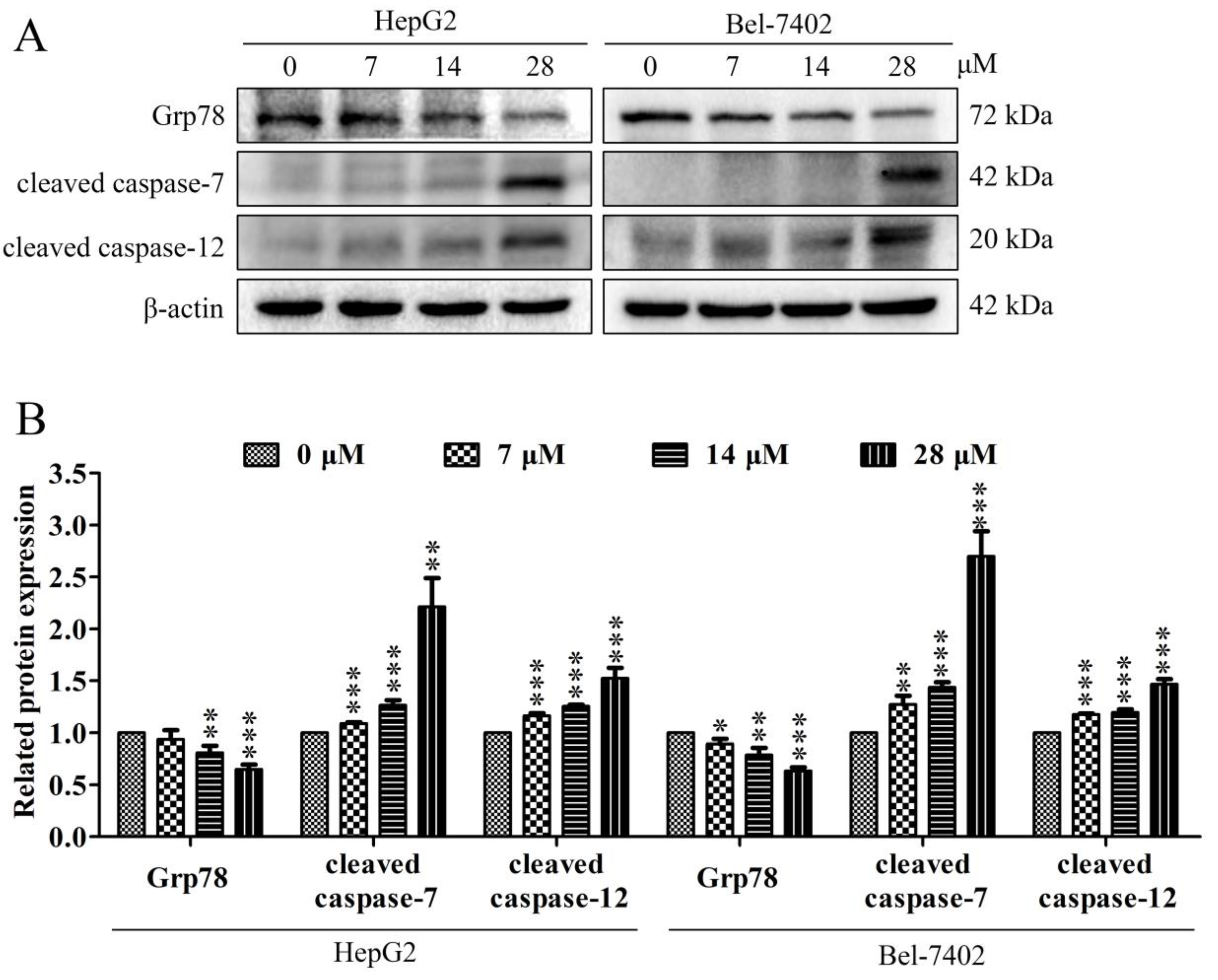 Molecules 26 05219 g005
