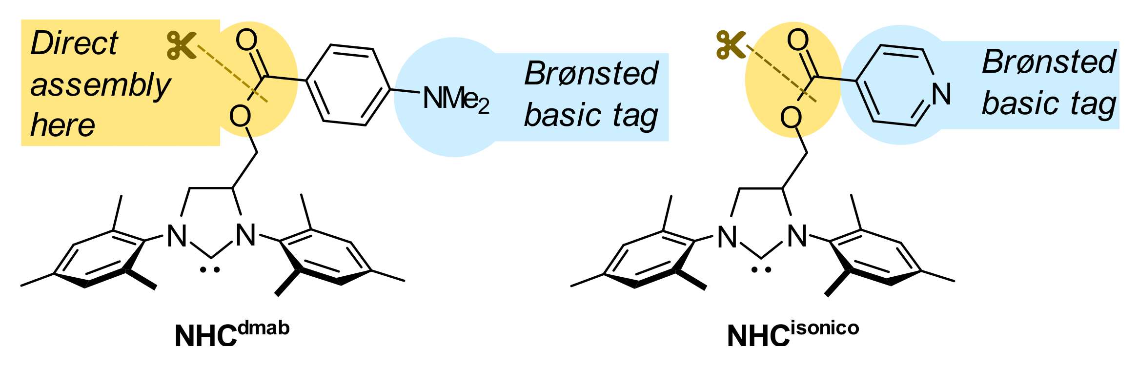 Molecules 26 05220 g002 550