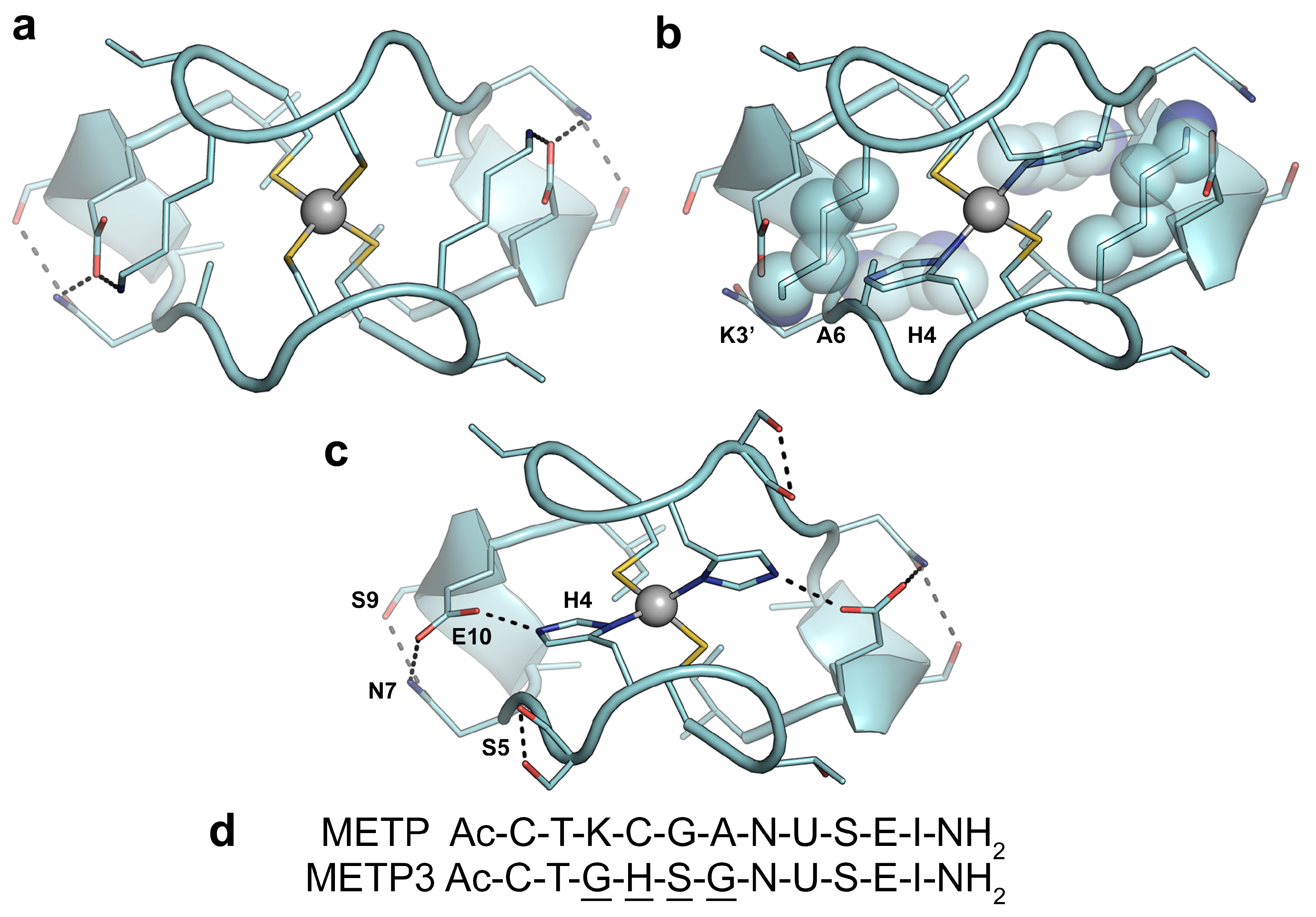 Molecules 26 05221 g001