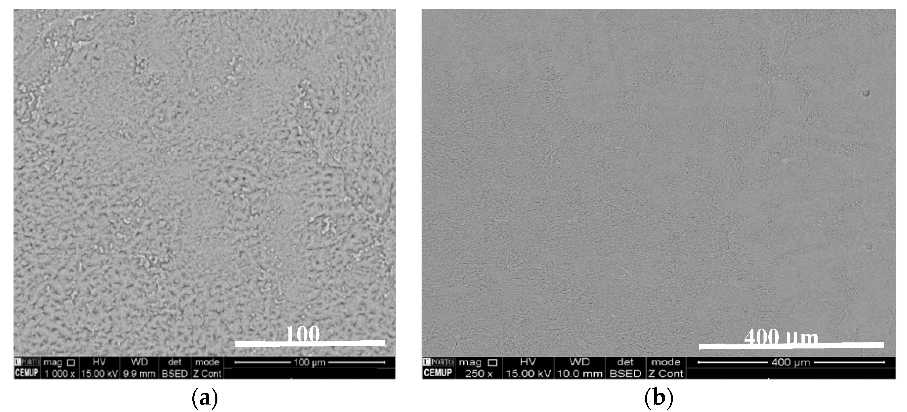 Molecules 26 05226 g003 550