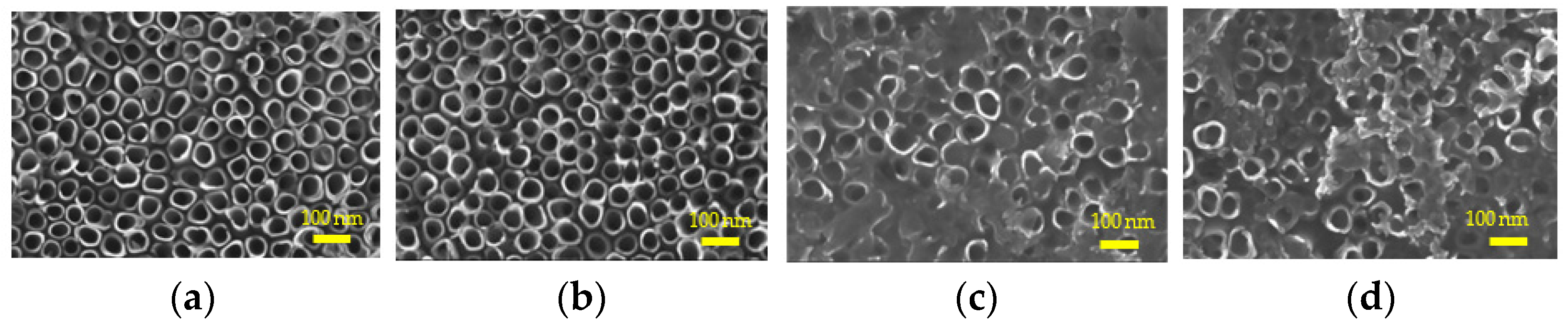 Molecules 26 05229 g001