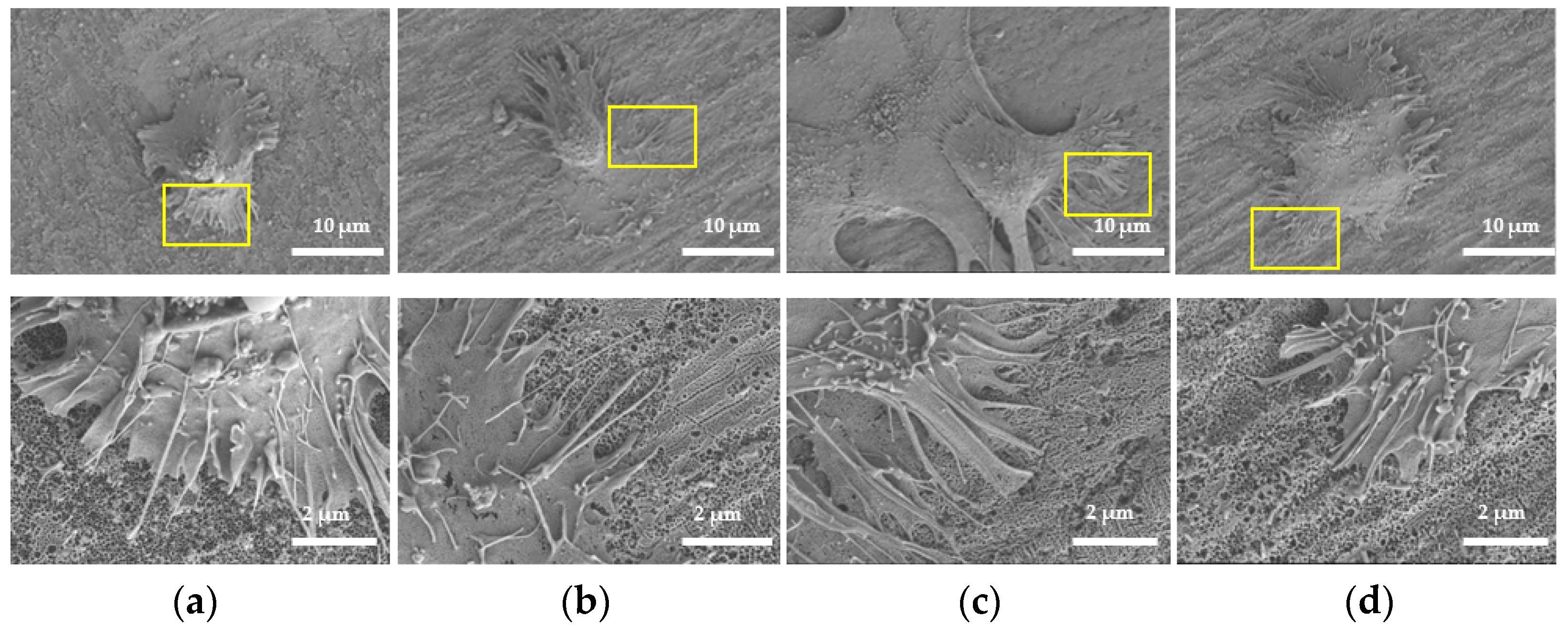 Molecules 26 05229 g007