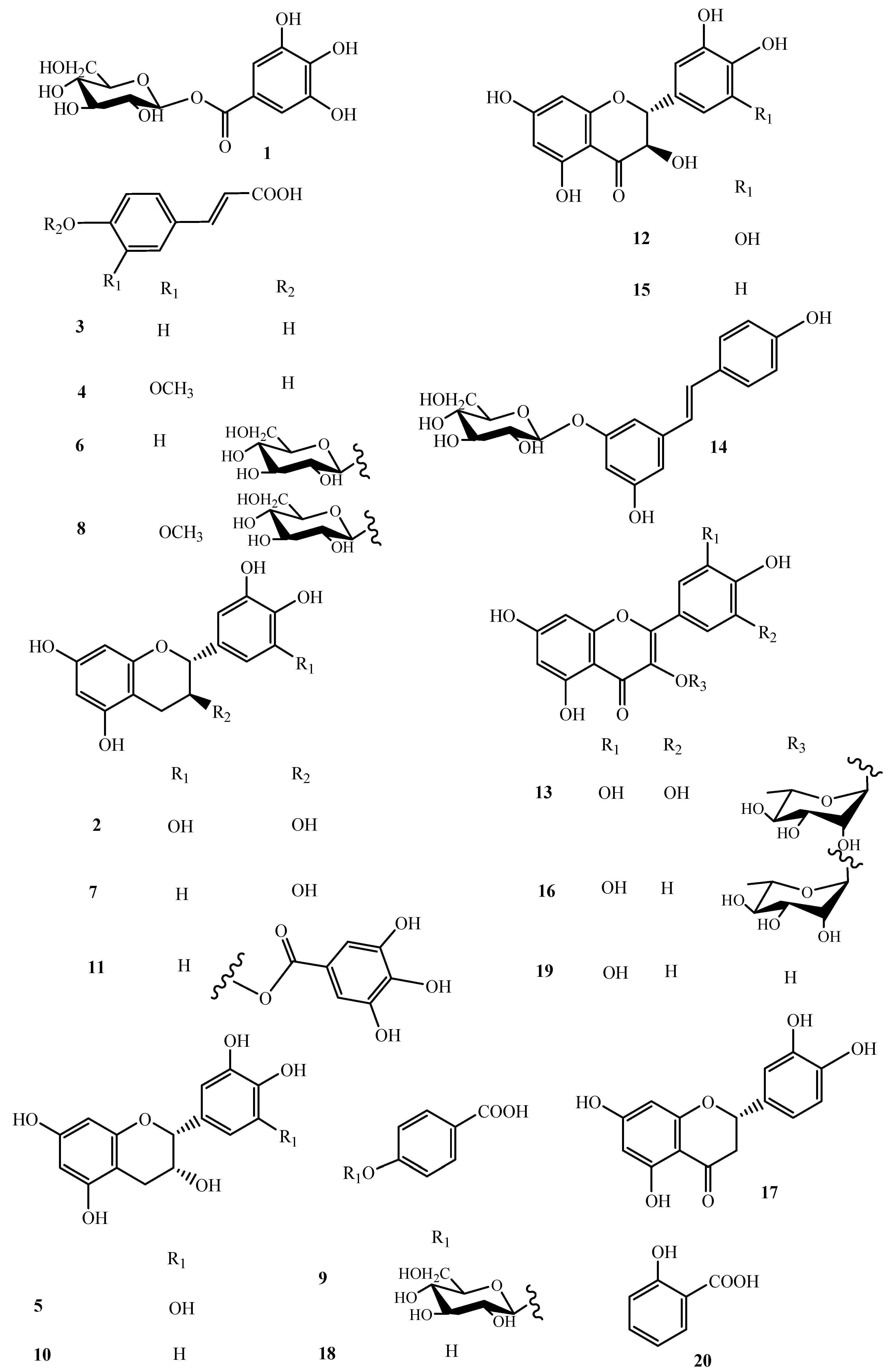 Molecules 26 05236 g002