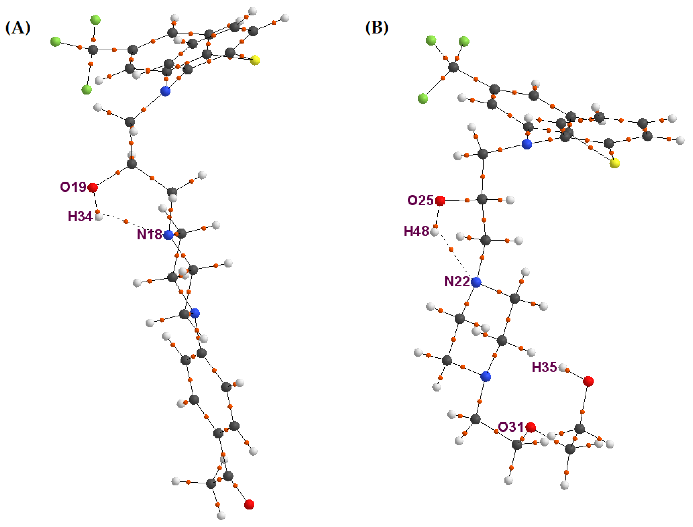吹*風様 カツミ　ナロネ　20,22 In-situ construction of N-doped carbon nanosnakes