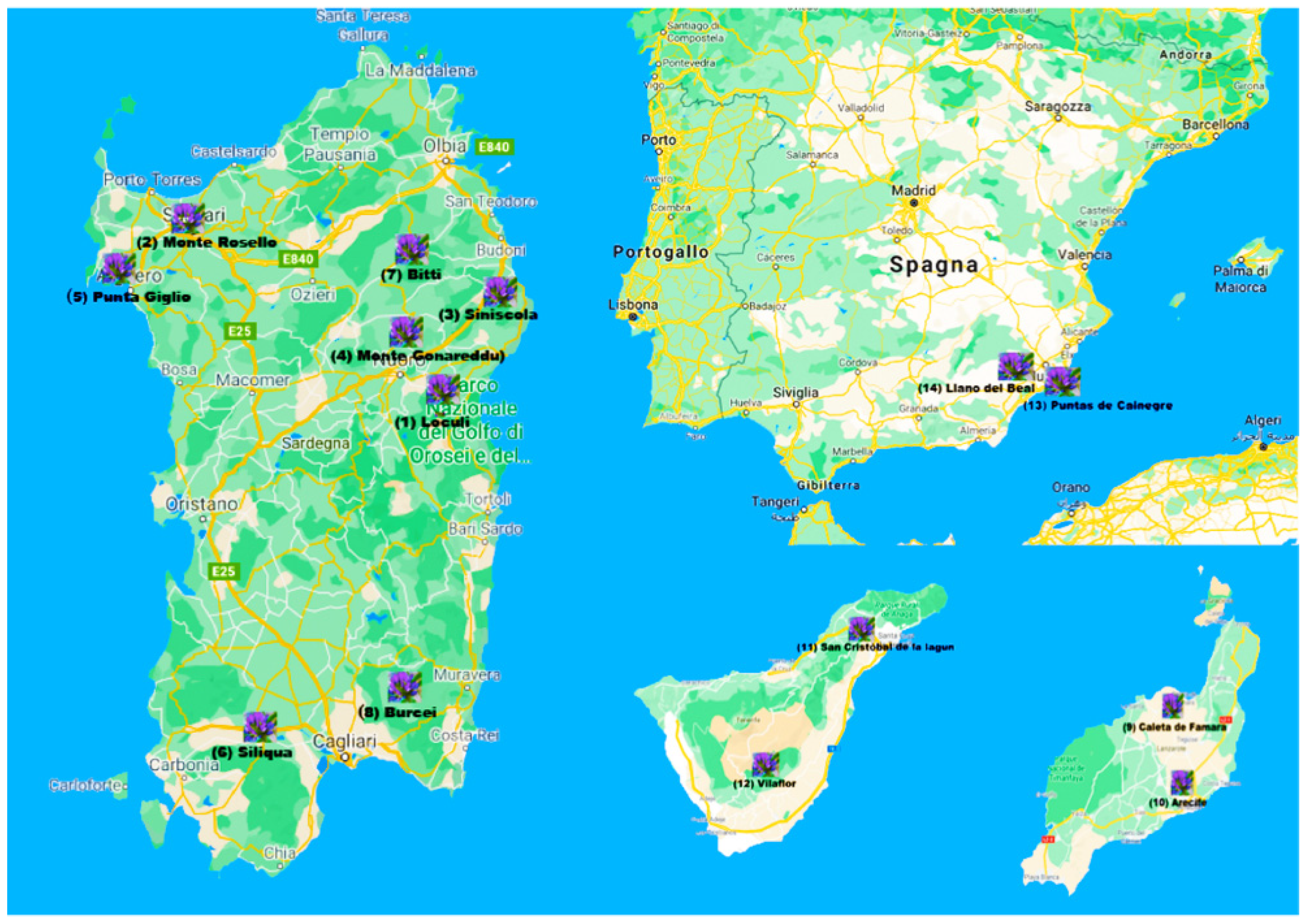 Molecules 26 05247 g004 Molecules 26 05247 g004