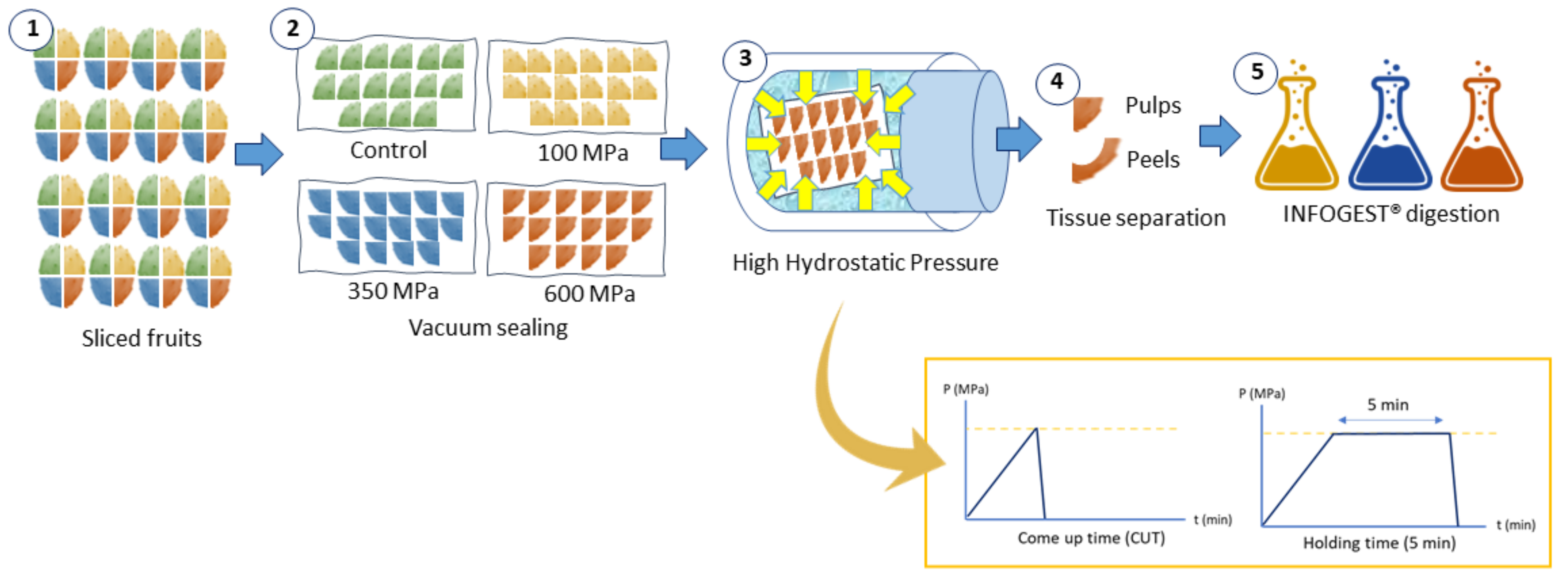 Molecules 26 05252 g001 550