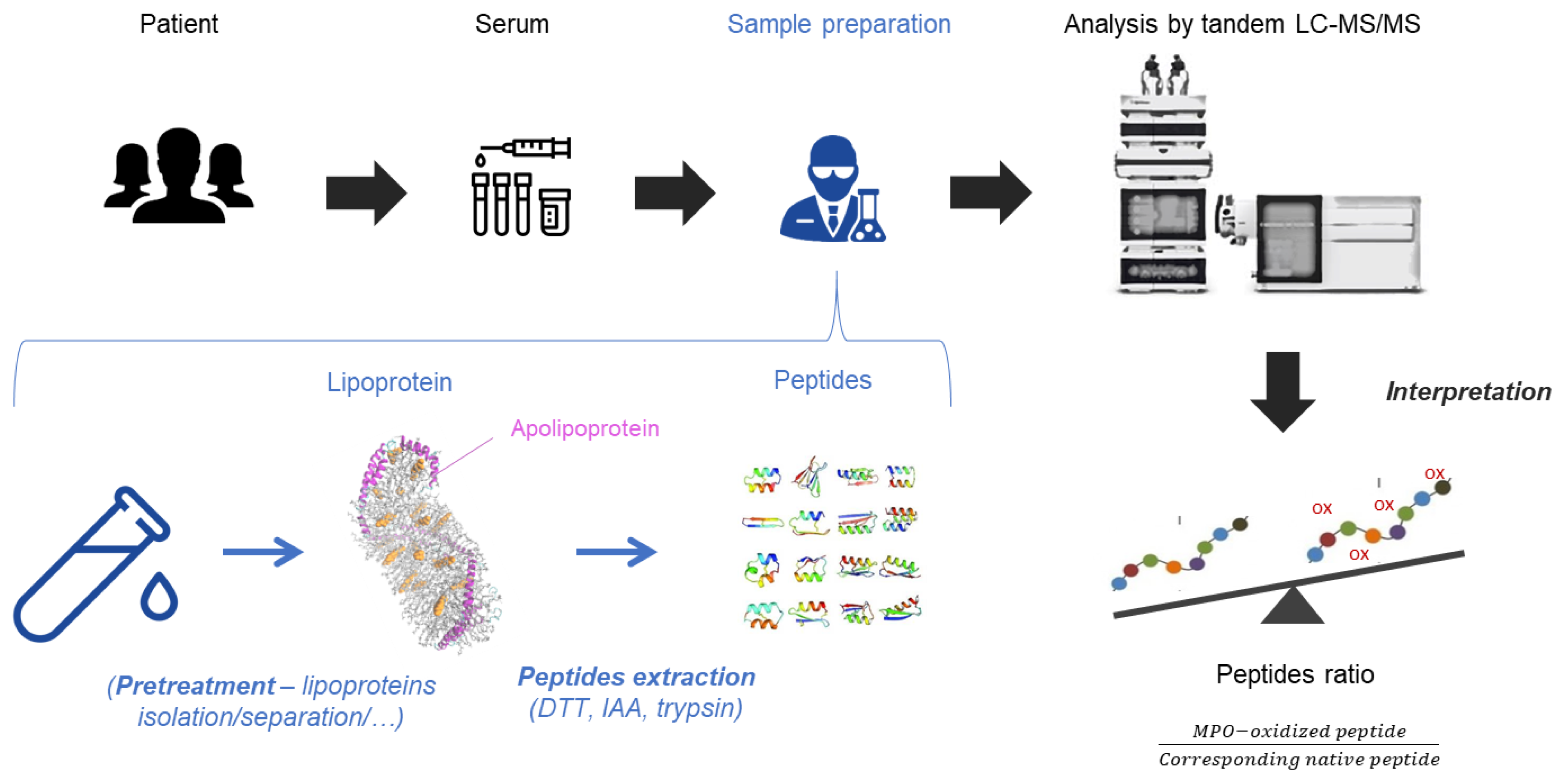 Molecules 26 05264 g003