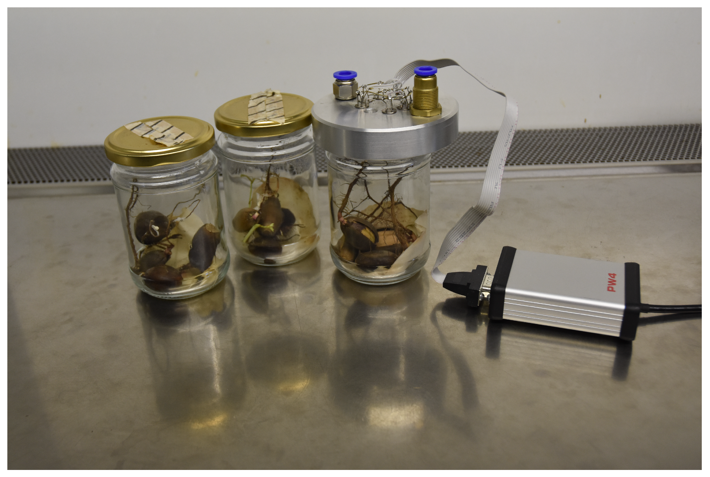 Molecules 26 05272 g003 550