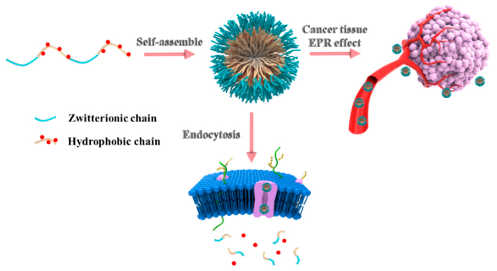 Molecules 26 05274 sch001
