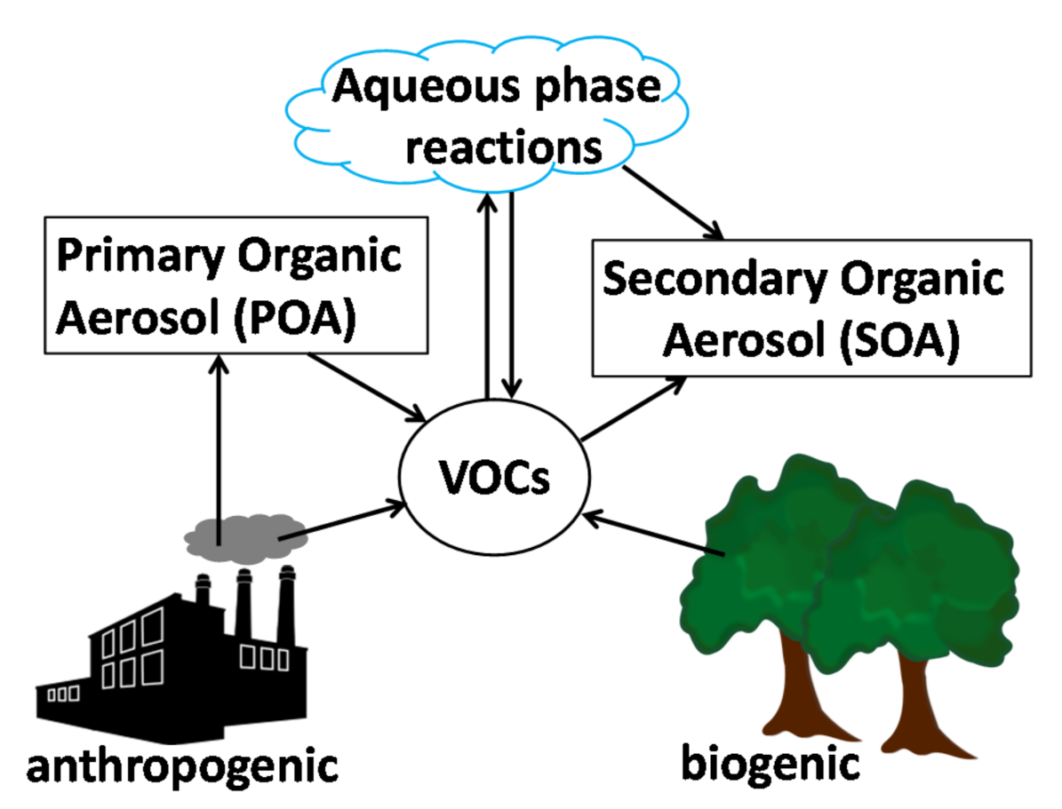 Molecules 26 05278 g001
