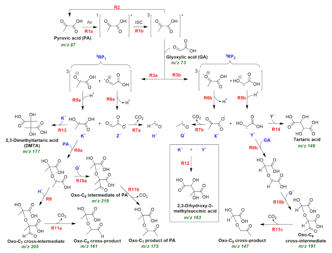 Molecules 26 05278 sch011