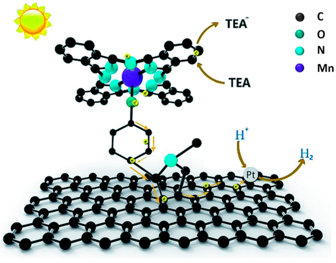 Molecules 26 05286 g023