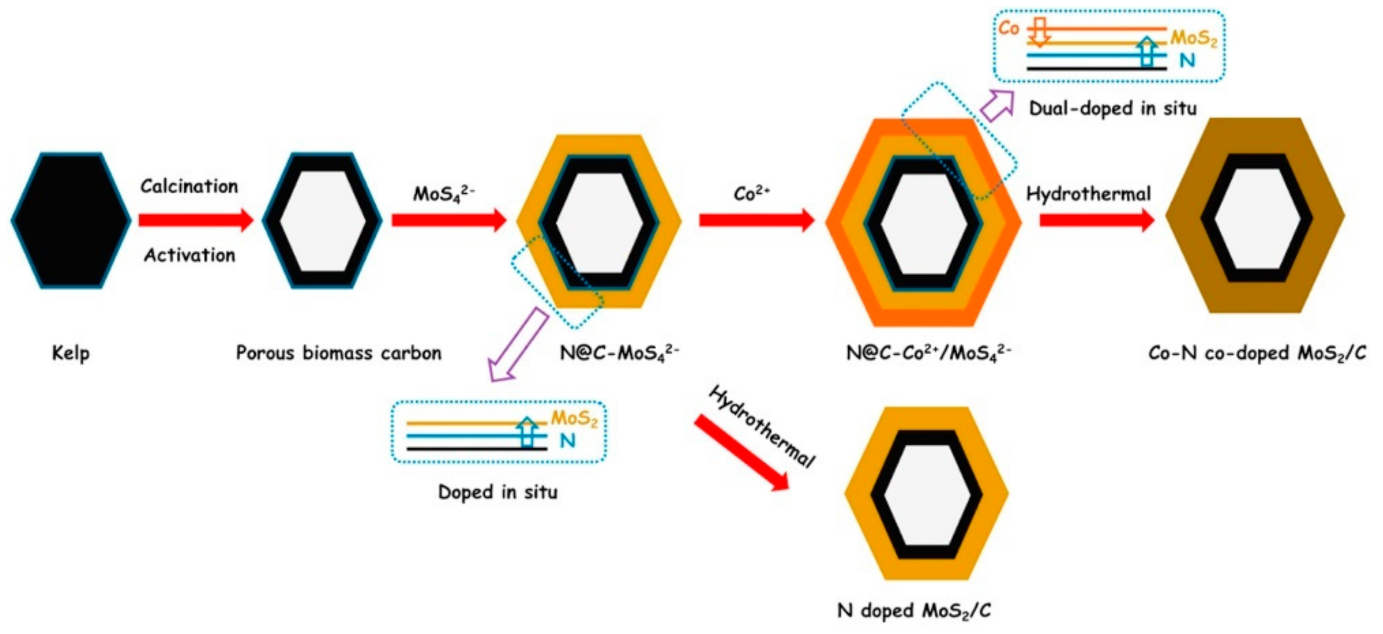 Molecules 26 05286 g025