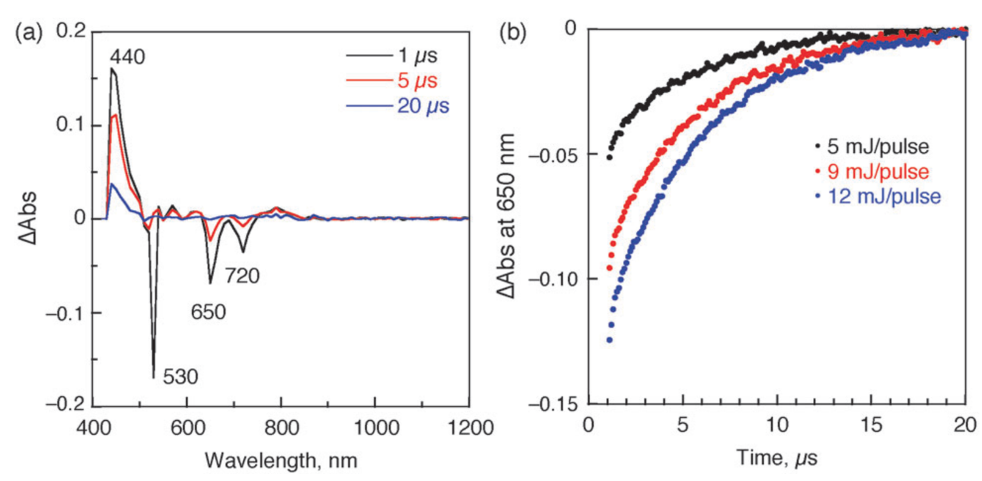 Molecules 26 05292 g012 Molecules 26 05292 g012