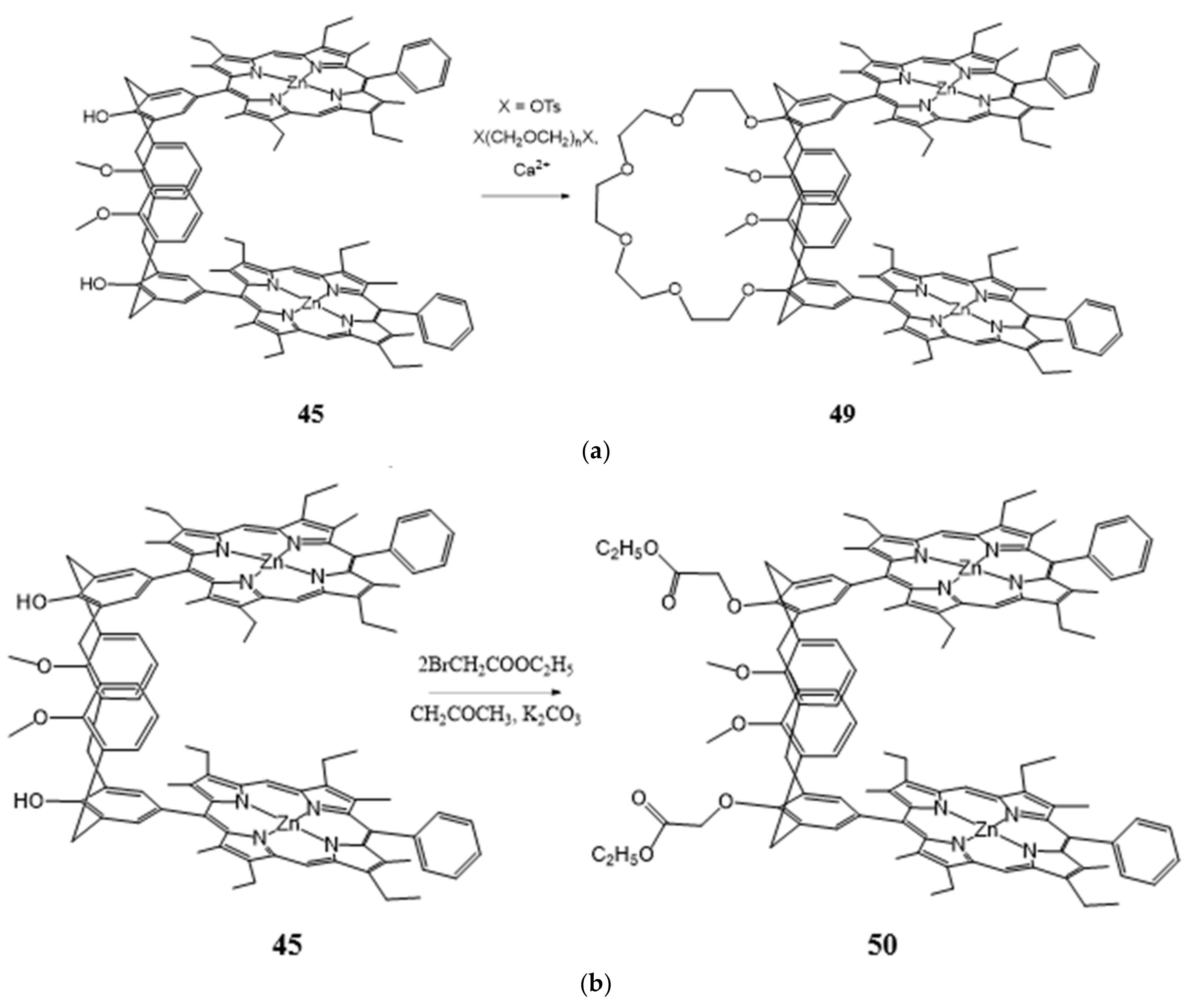 Molecules 26 05292 sch012 Molecules 26 05292 sch012