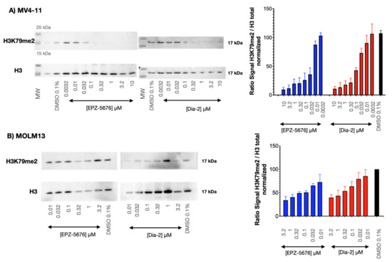 Synthesis and Biological Activity of a Cytostatic Inhibitor Synthesis and Biological Activity of a Cytostatic Inhibitor