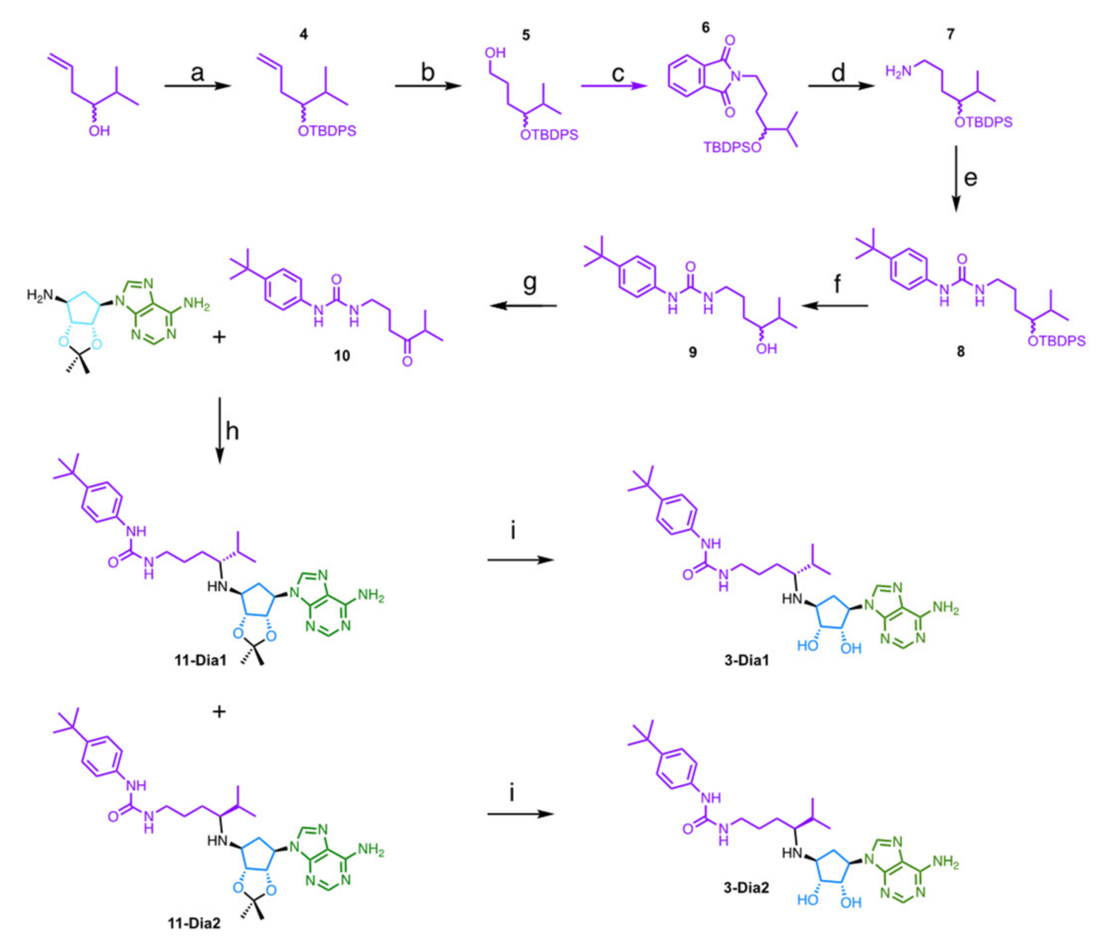 Molecules 26 05300 sch001 550
