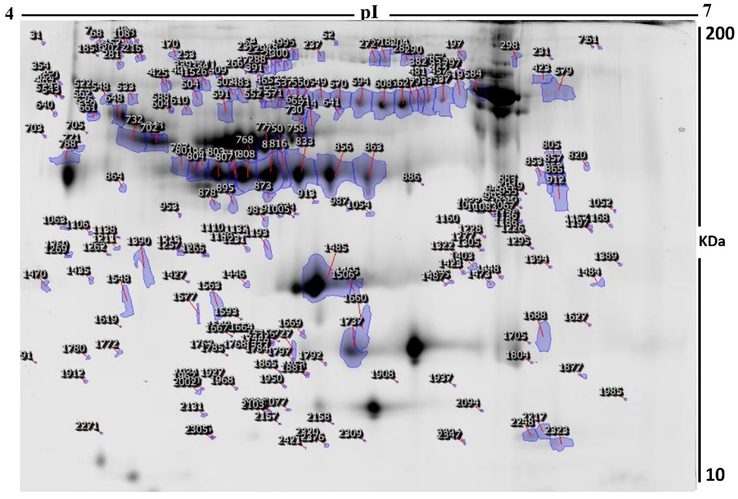 Molecules 26 05311 g002 Molecules 26 05311 g002