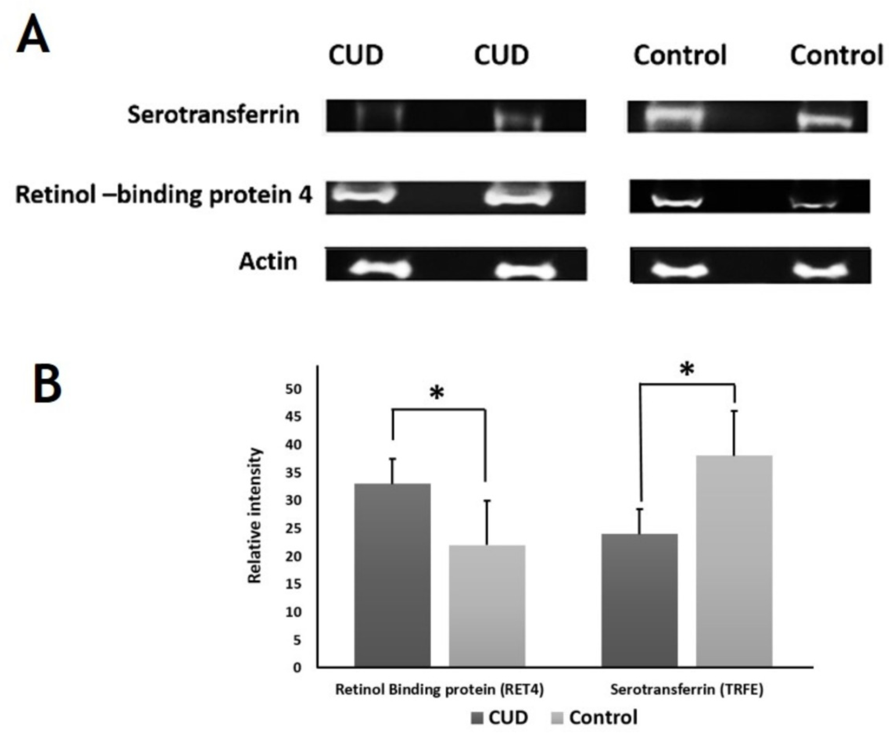 Molecules 26 05311 g007 Molecules 26 05311 g007