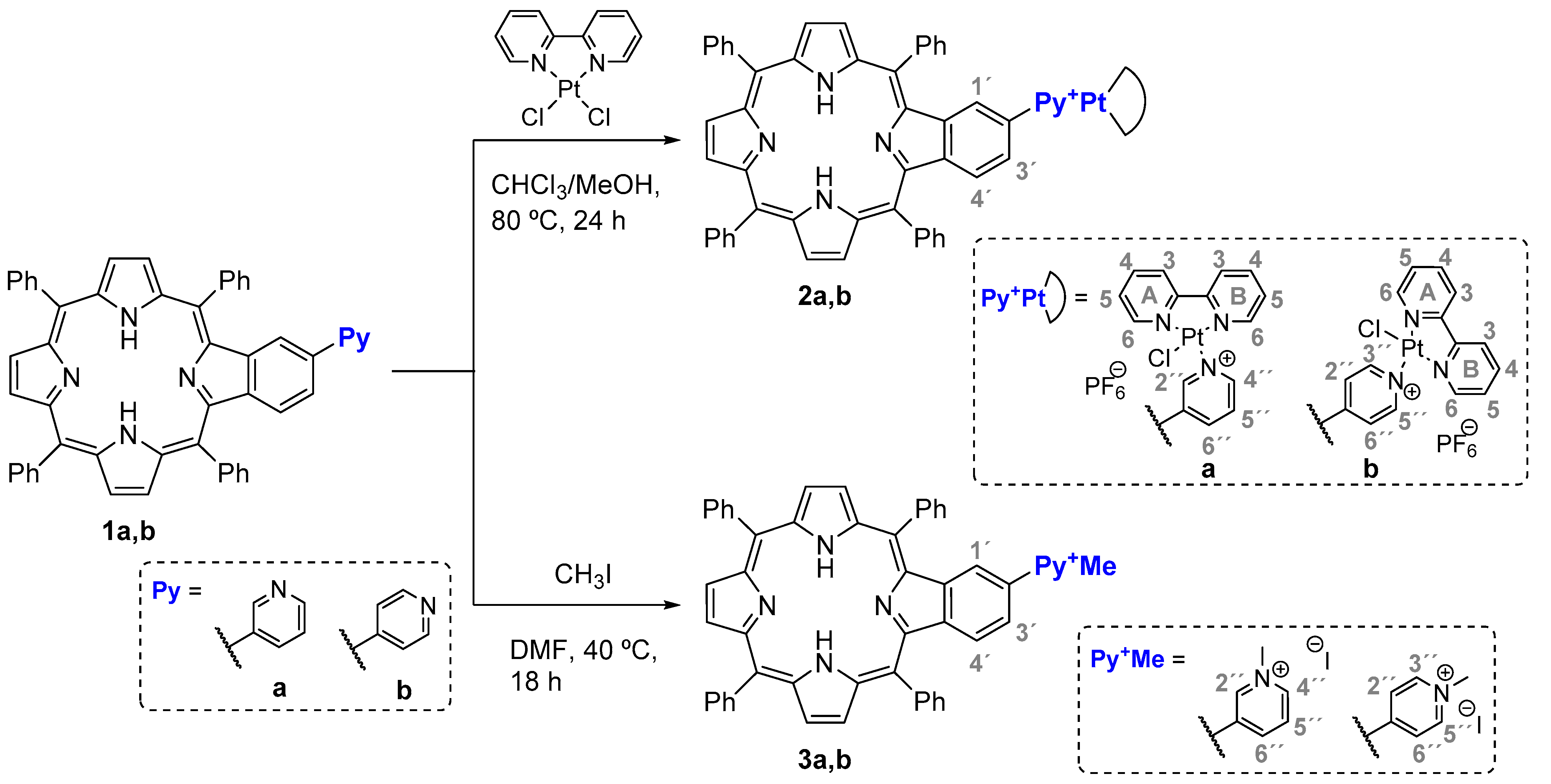 Molecules 26 05312 sch001 550