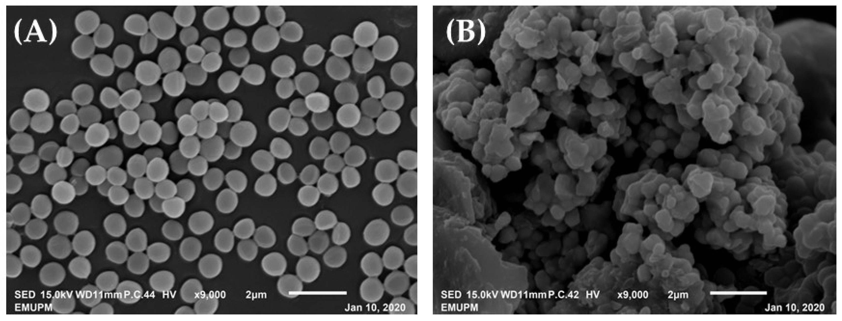 Molecules 26 05314 g004