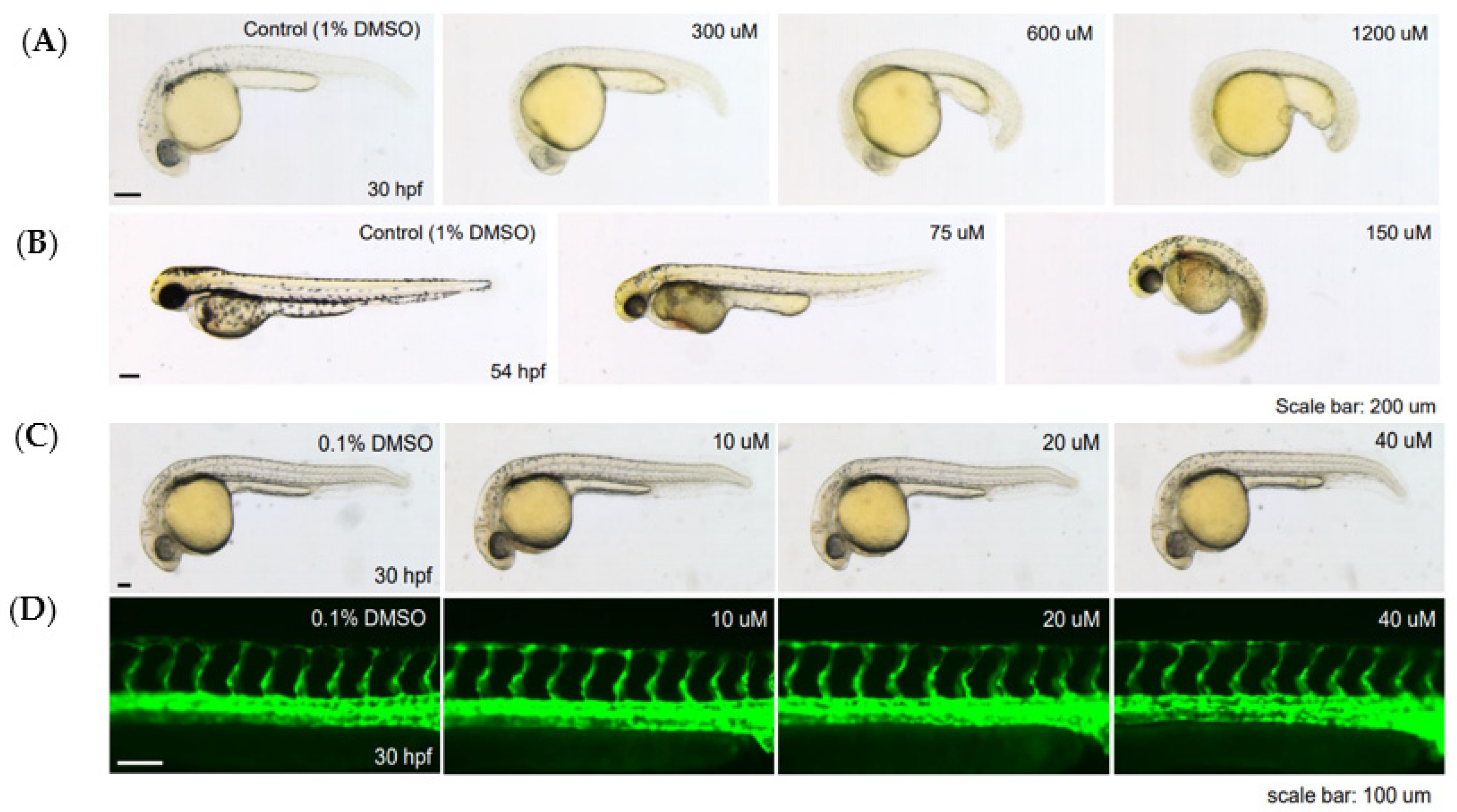 Molecules 26 05314 g006