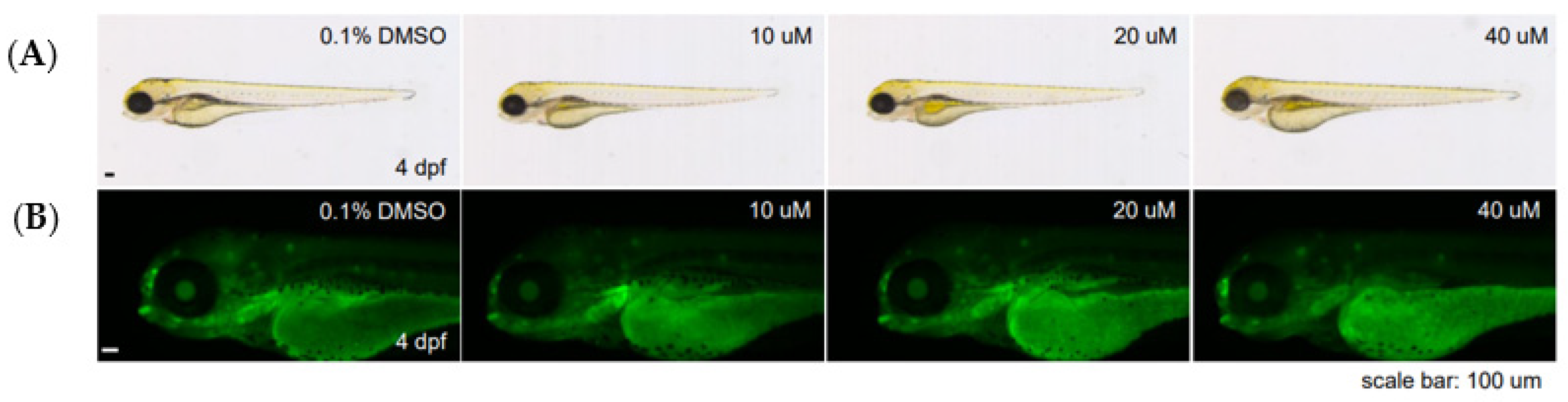 Molecules 26 05314 g007