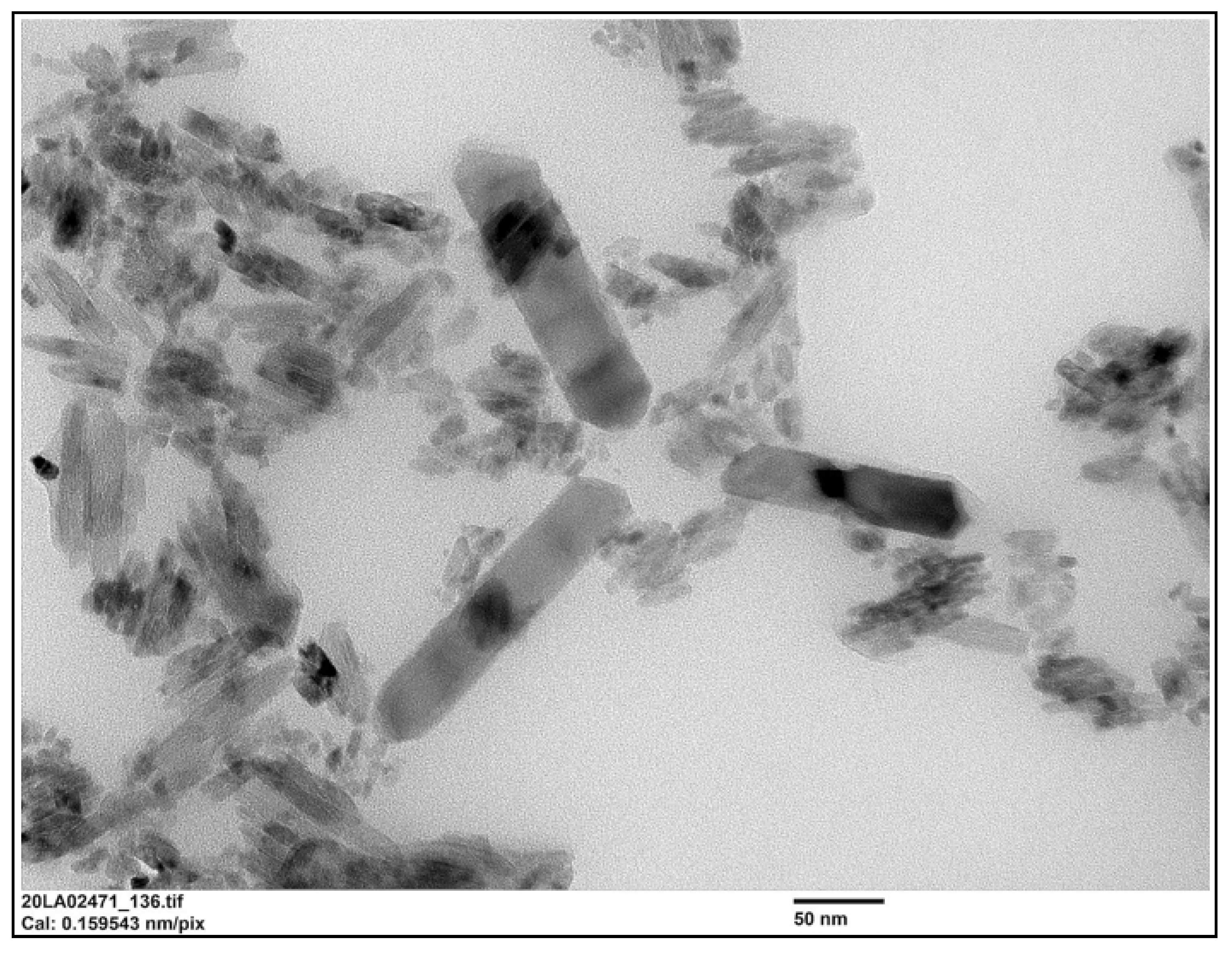 Molecules 26 05315 g012 550