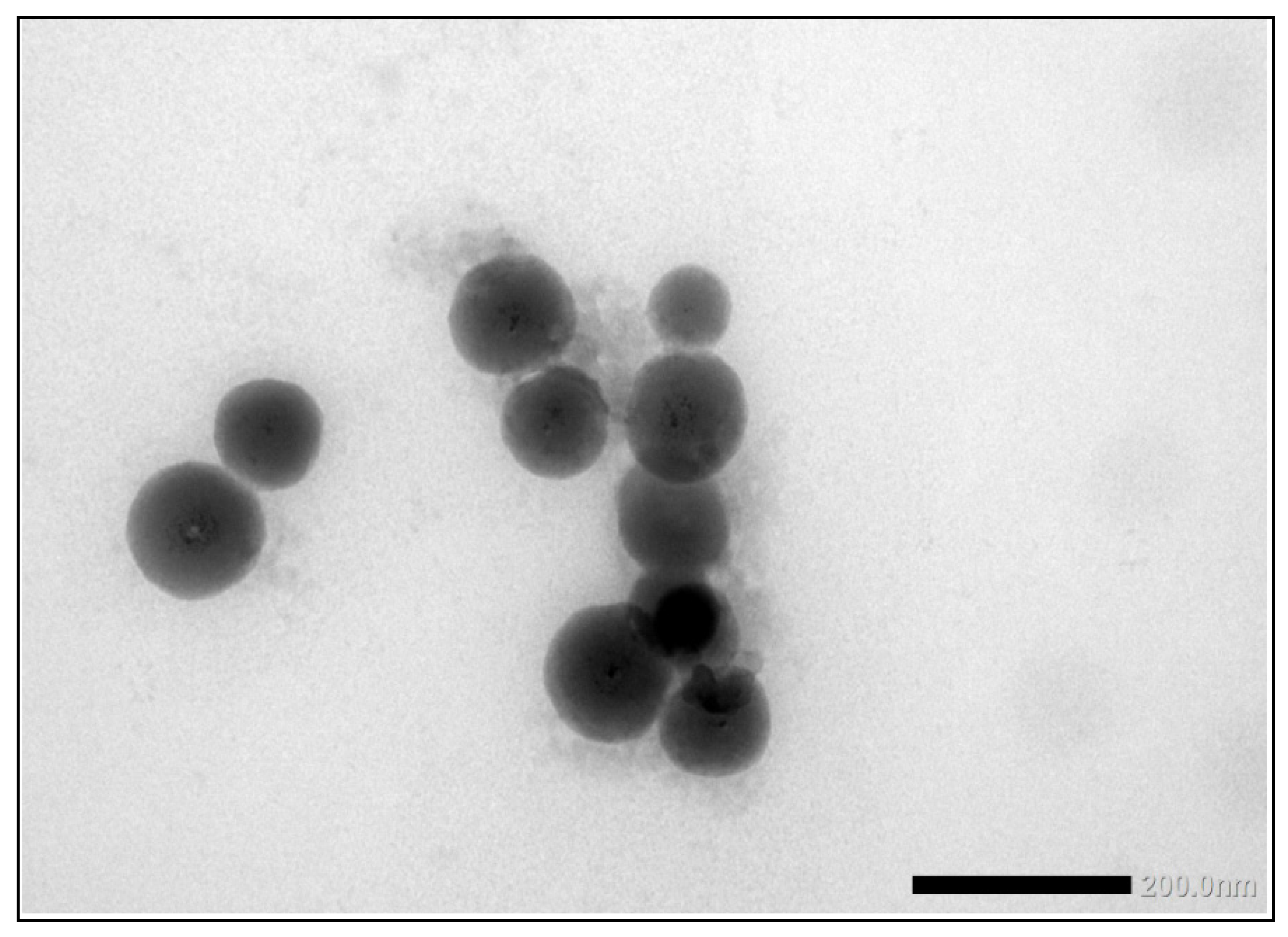 Molecules 26 05315 g013 550