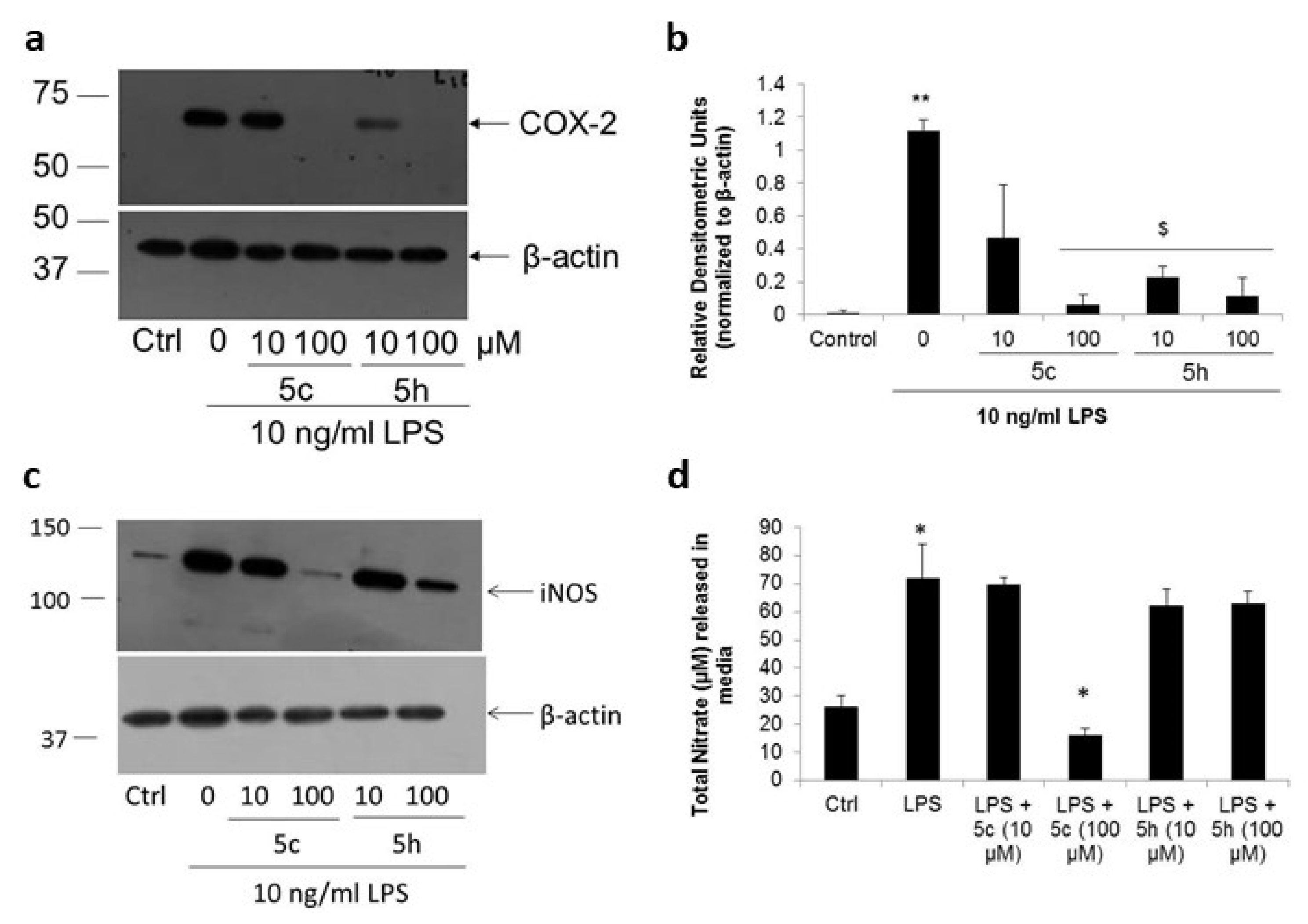 Molecules 26 05319 g005